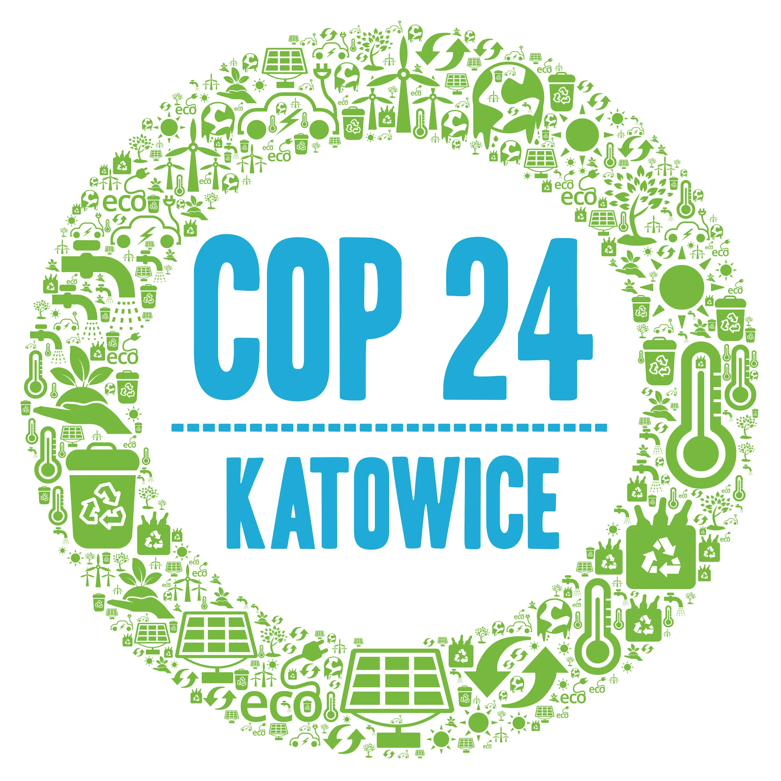 COP 24.jpeg