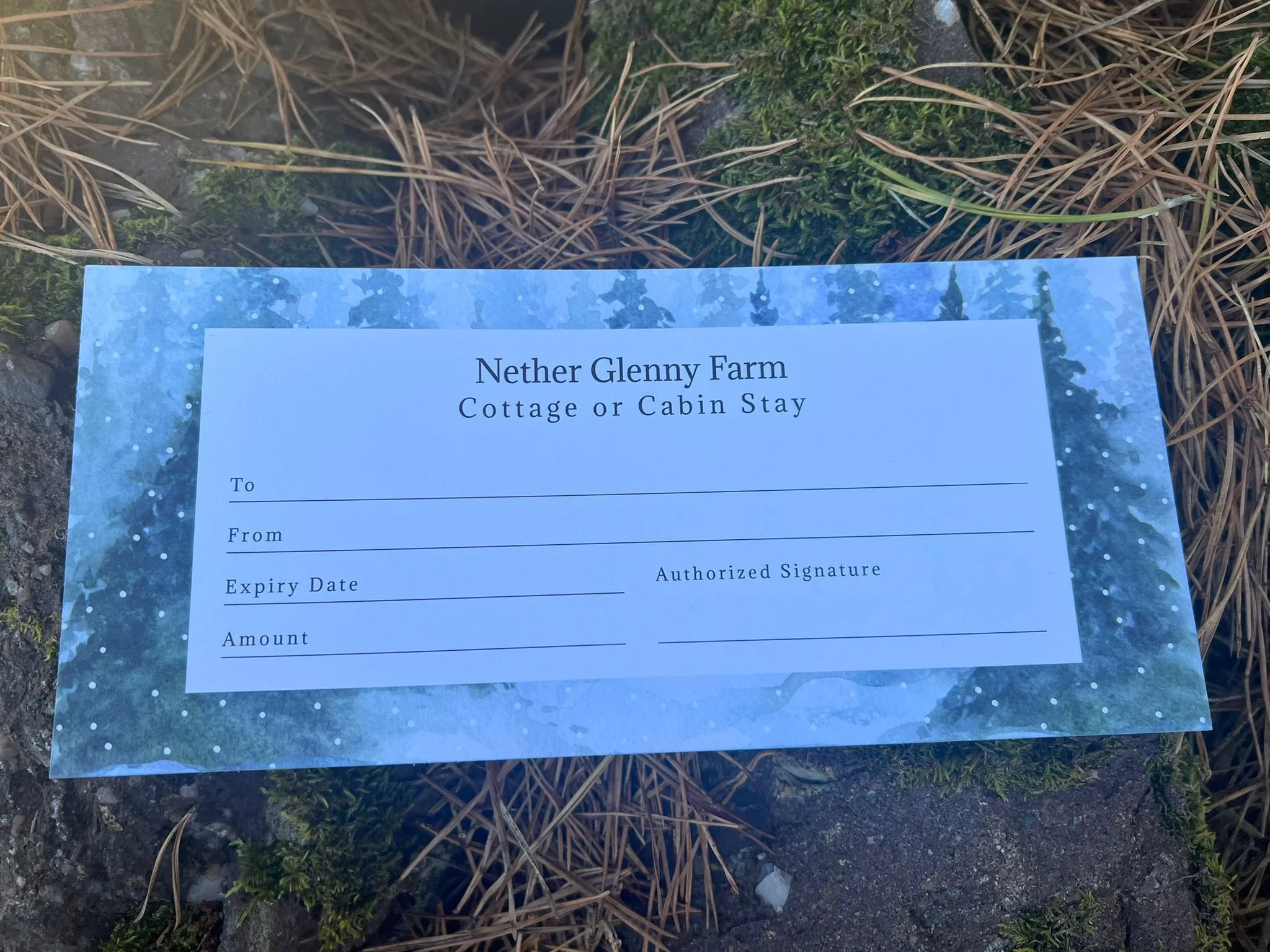 WhatsApp Image 2024-11-29 at 07.53.59.jpeg