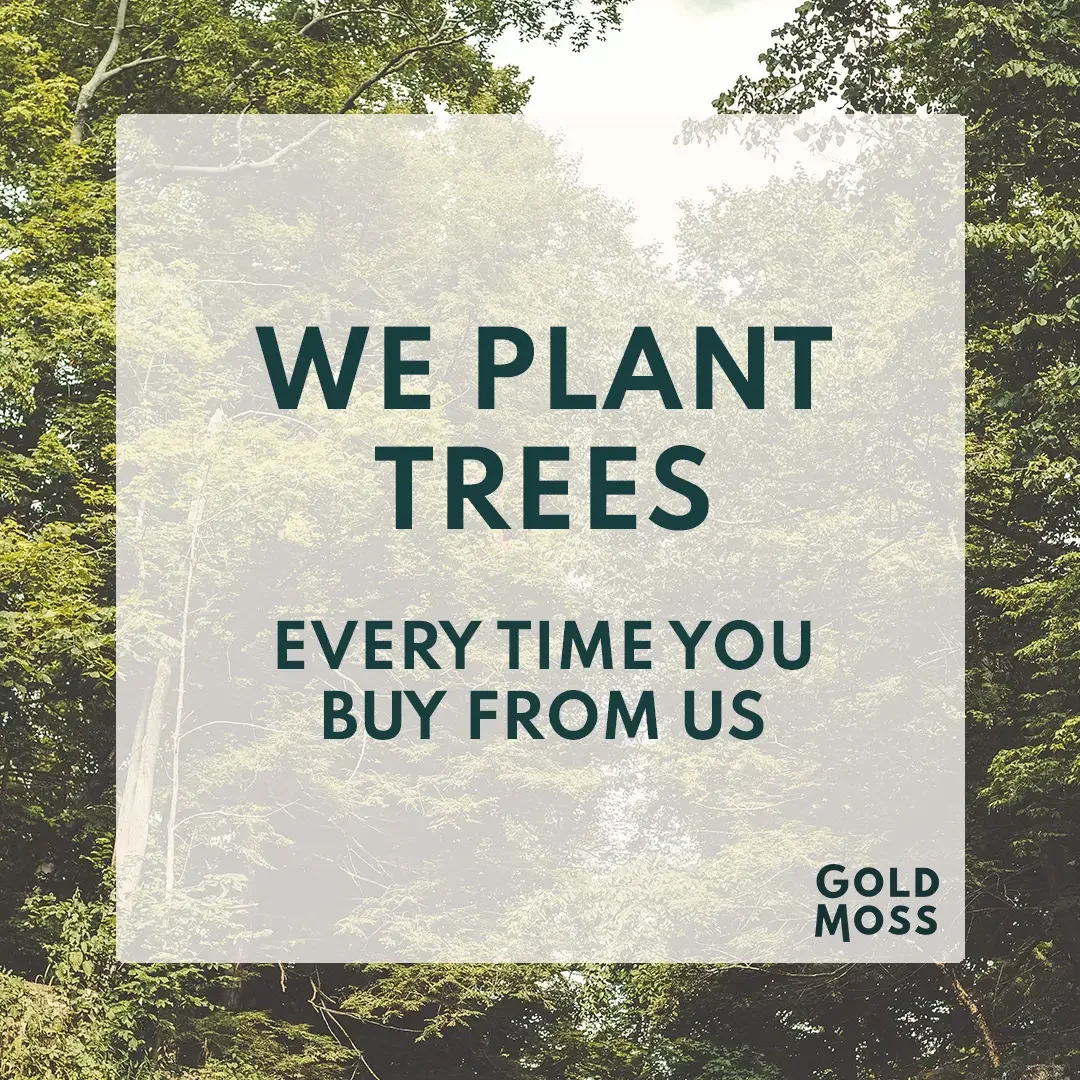 we plant trees.webp