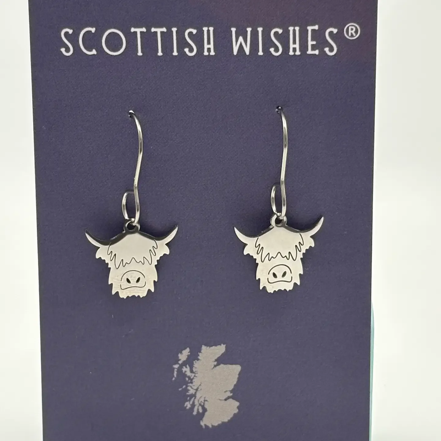 silver coo earings.webp
