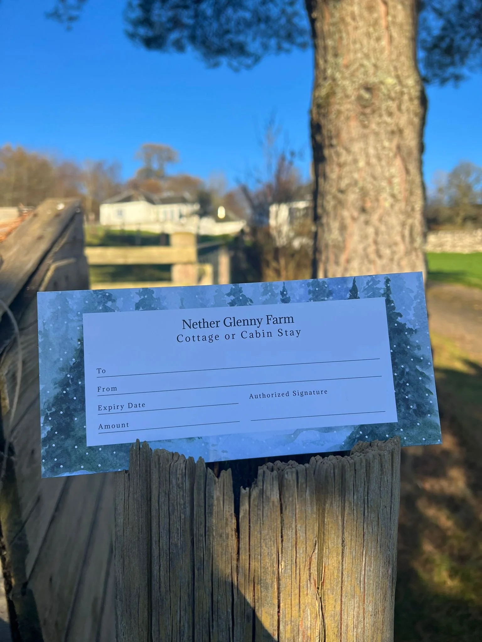 WhatsApp Image 2024-11-29 at 07.53.58.jpeg