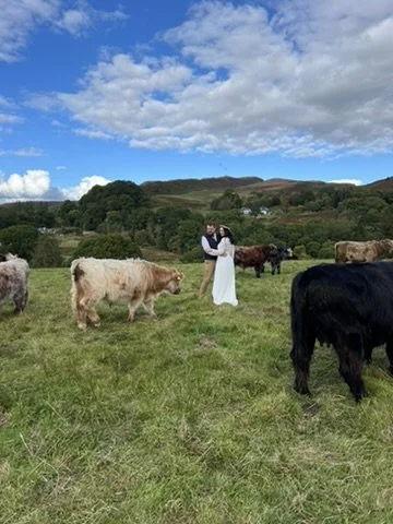 A wedding at Nether Glenny Farm in the Trossachs in a field surrounded by cows, with hills and a partly cloudy sky in the background.