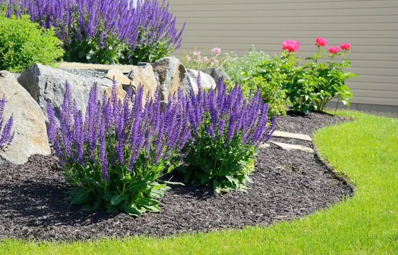 simple-landscaping-ideas-780x500.jpeg