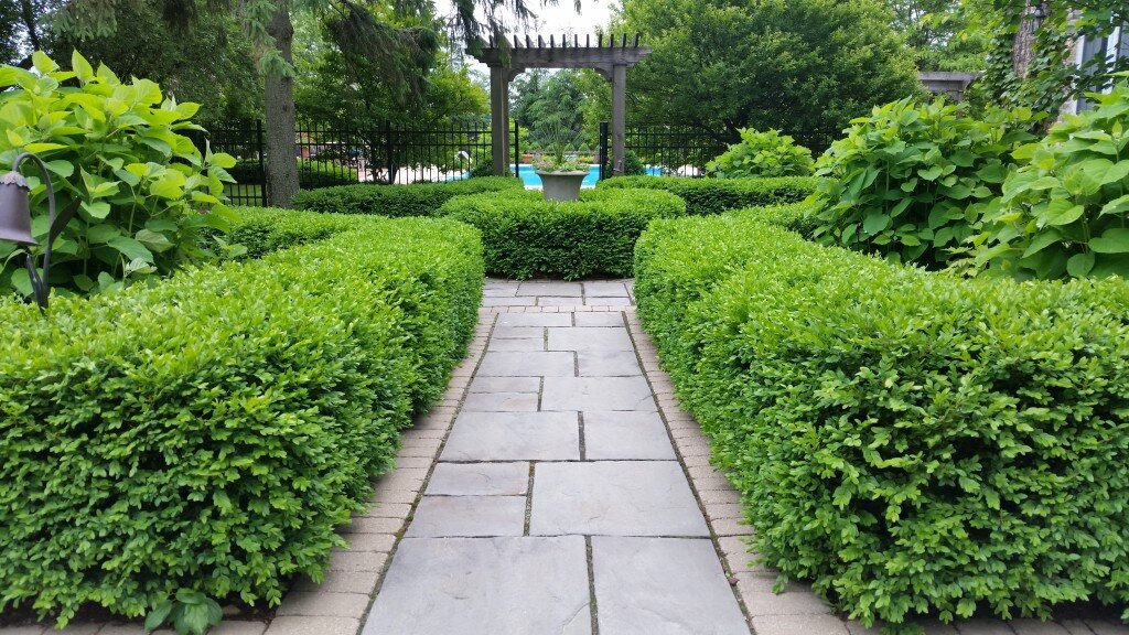 Full-Yard-hedge-walkway-trellis-min.jpg