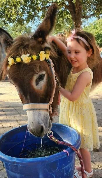 DonkeyPhoto.jpg