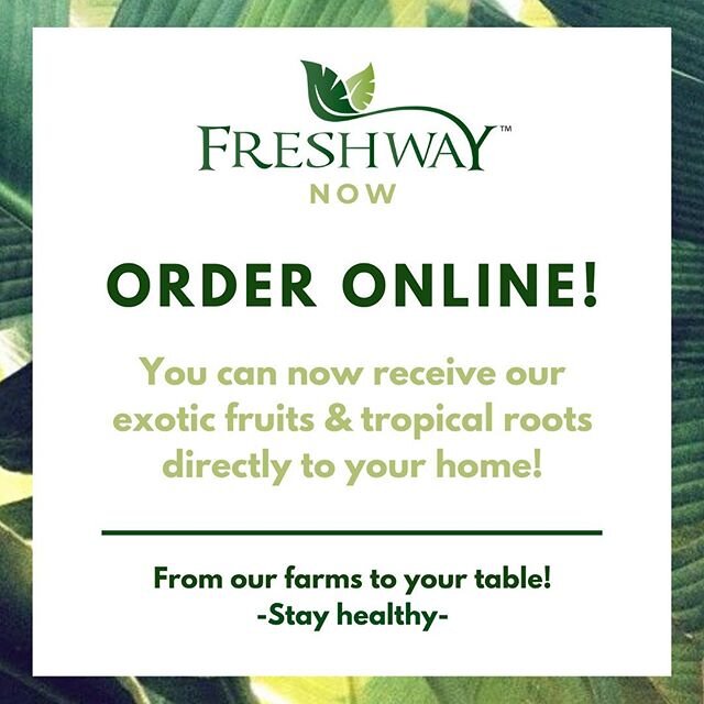 -Our online shop is OPEN!🌱- We&rsquo;re so happy to announce that you can now buy our super fresh fruits &amp; roots directly from us! 
Check out the varieties of boxes you have to choose from! Link in bio! 🌱
.
.
.
.
.
#eeeeeats #plantain #ginger #