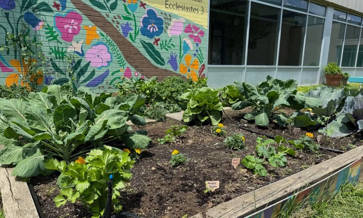 Building a Children’s garden at St. Vincent’s Villa