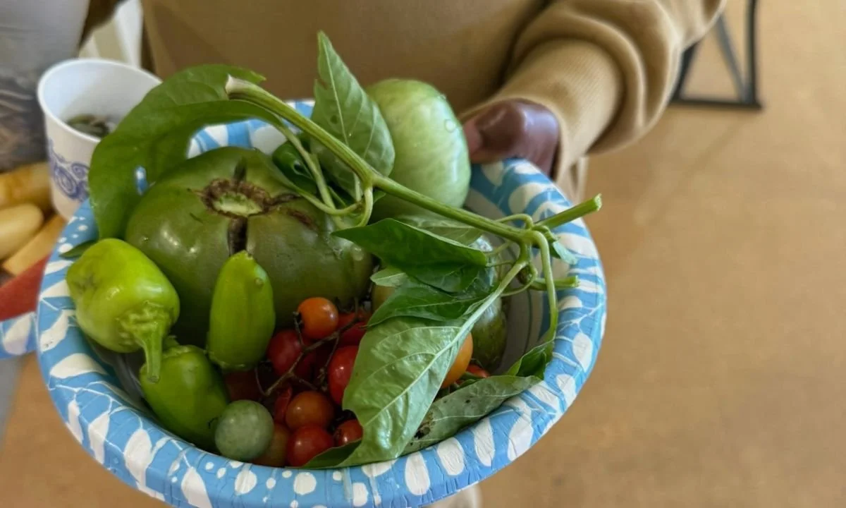 Building a Children’s garden at St. Vincent’s Villa