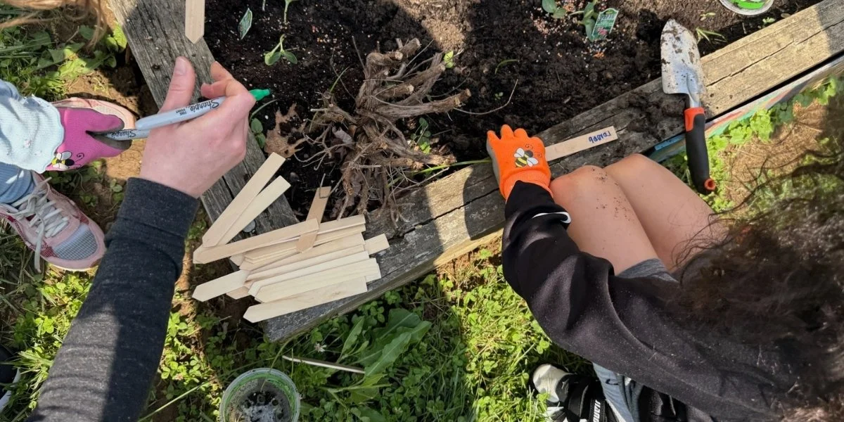 Building a Children's Garden