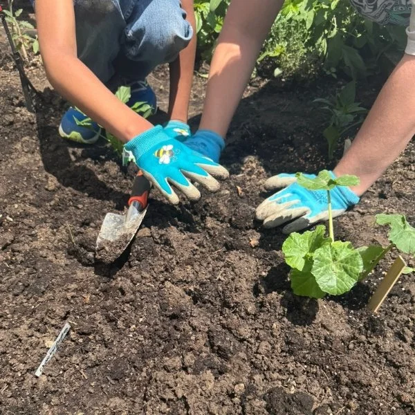 2 people gardening