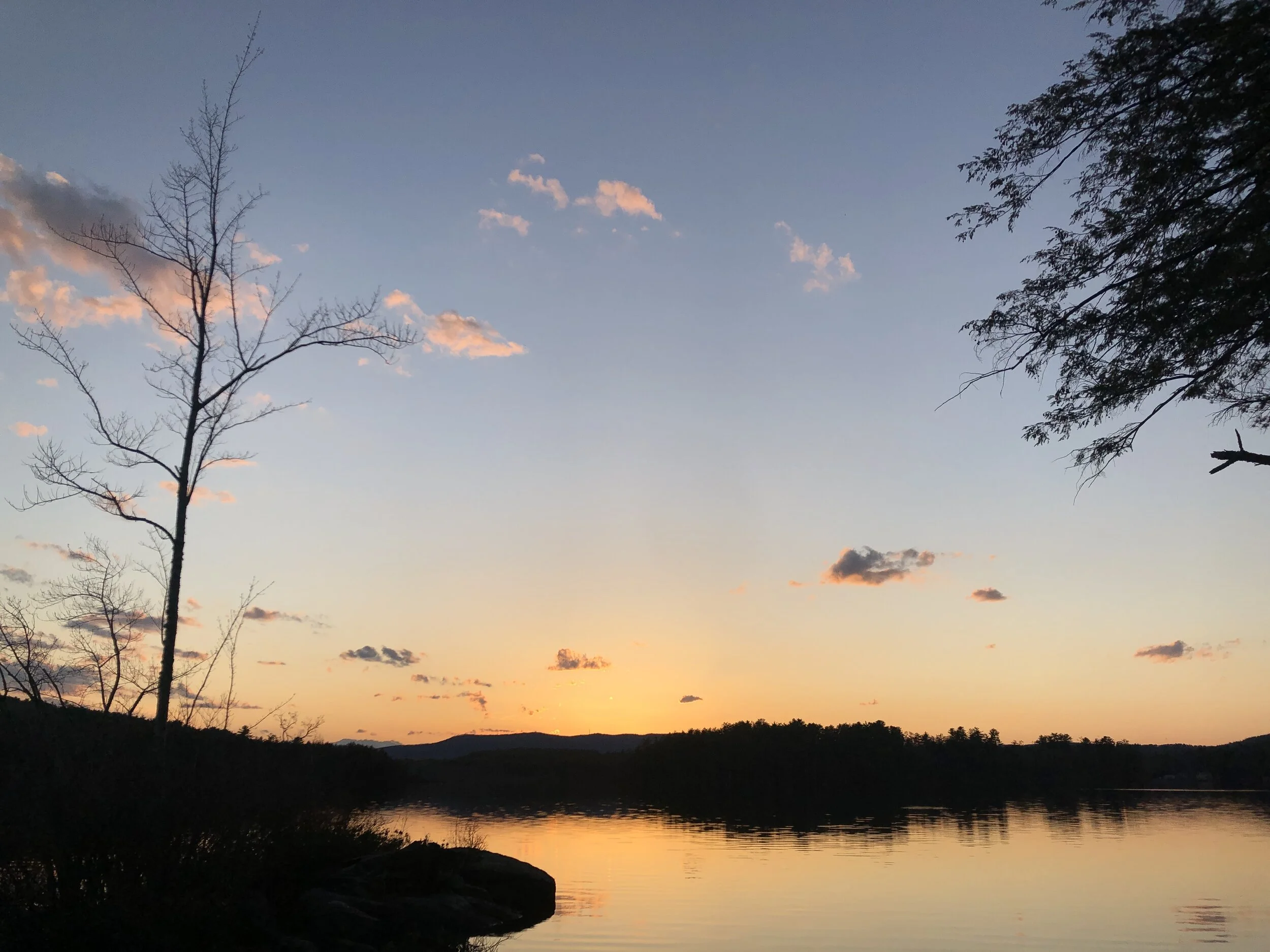 A Hard Year, Full of Light (Part 1: NH Gives)  