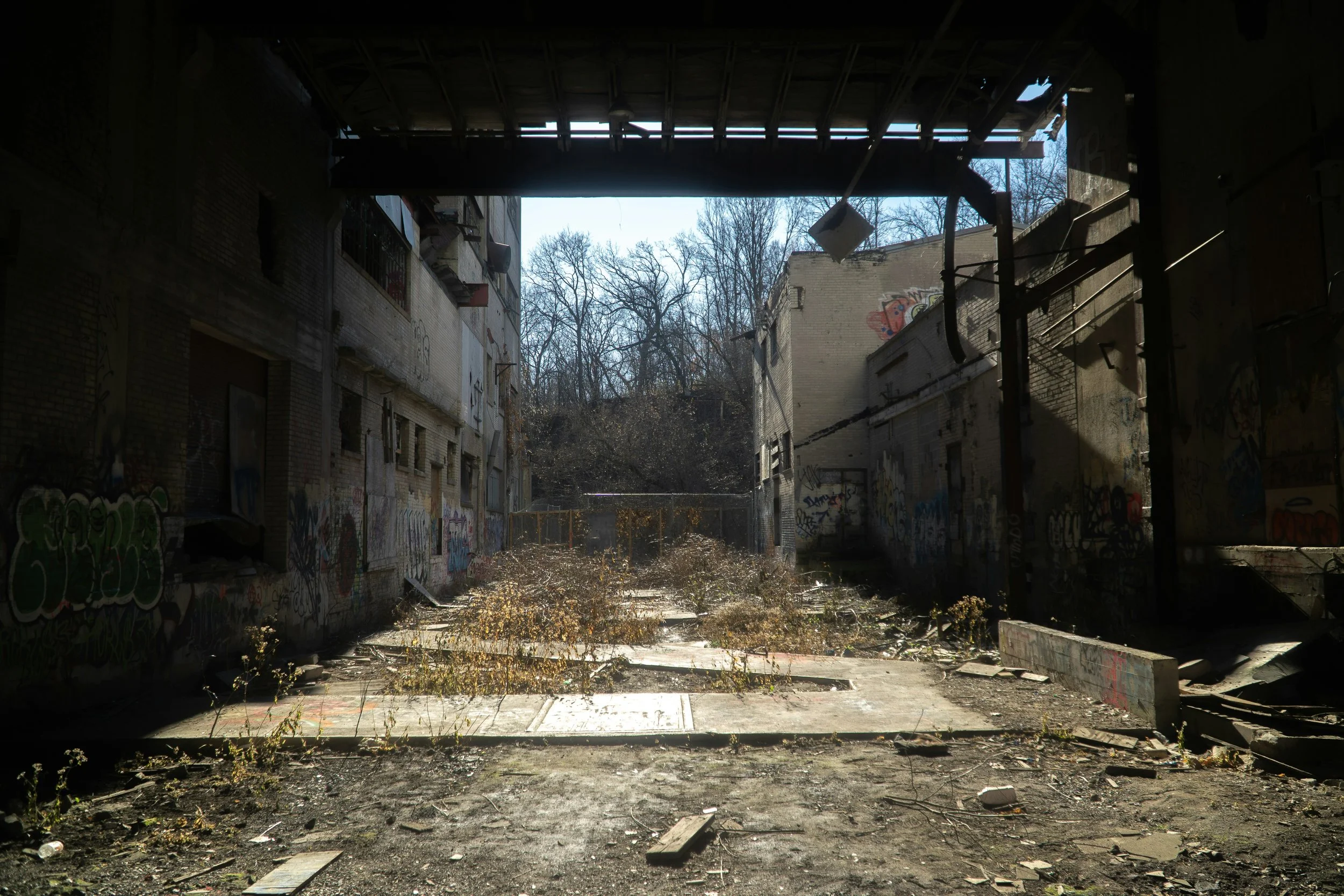 HOPE AND HORROR: THEOLOGY AND THE BONE TEMPLE
