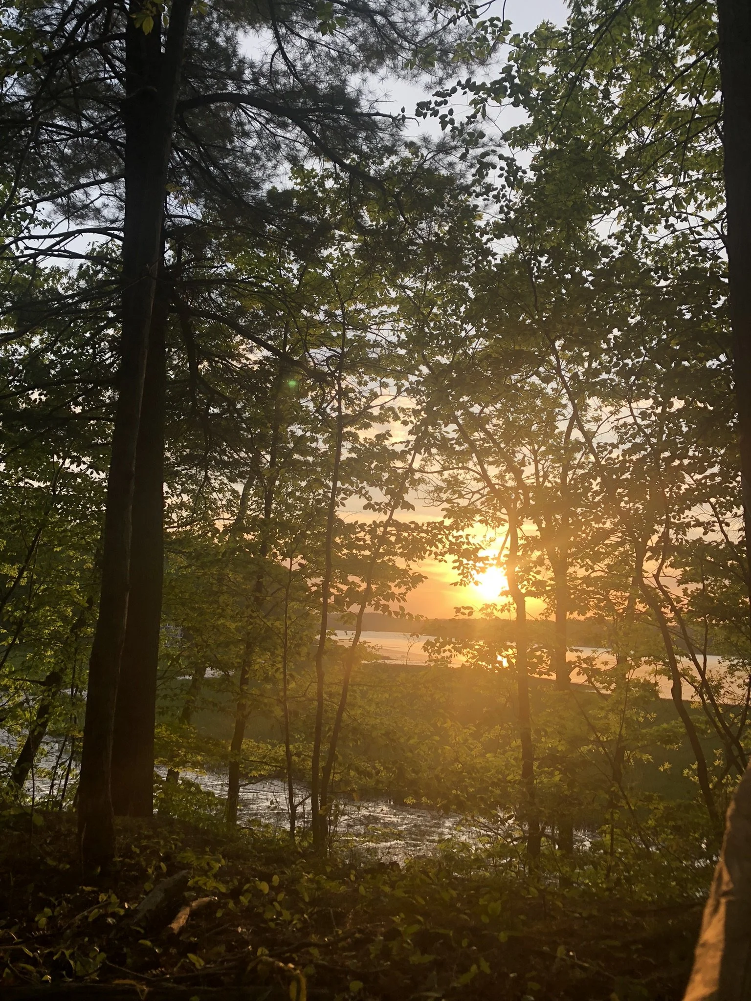 Focal Practice as a Path, Pt. 2