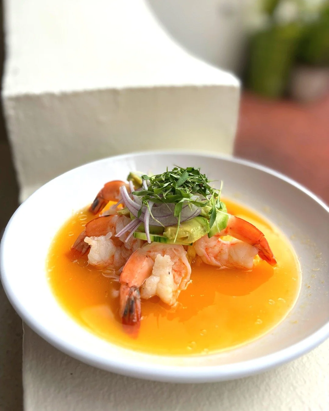 Main Street Shrimp on Main Street >>>