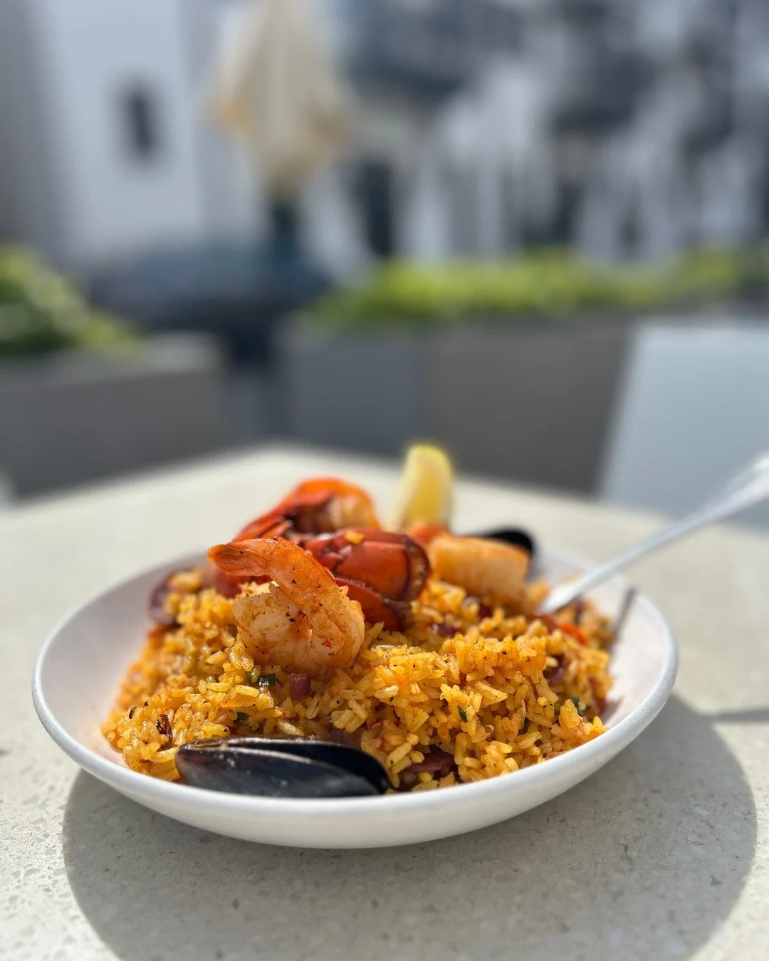 Our Seafood Paella is a delicious blend of lobster tail, shrimp, scallops, mussels, red onion, piquillo peppers, chorizo and saffron rice. It's also gluten-free!