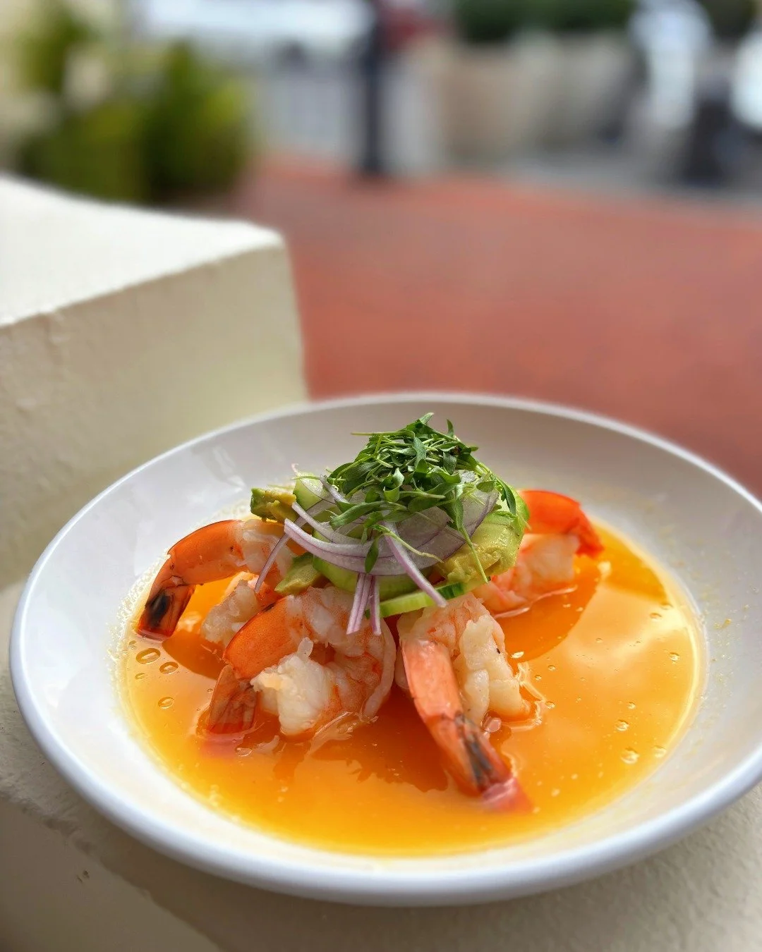 Main Street Shrimp | poached gulf shrimp ceviche, served cold with pineapple avocado, red onion, radish and cucumber in an aji amarillo-lime agave-sauce