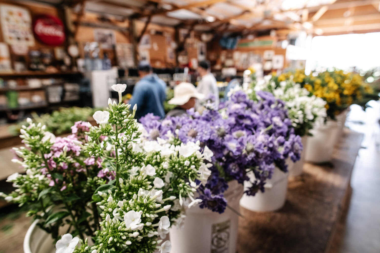 Seasonal Mary Herb Flower Farm Shop. Hillsboro, Oregon
