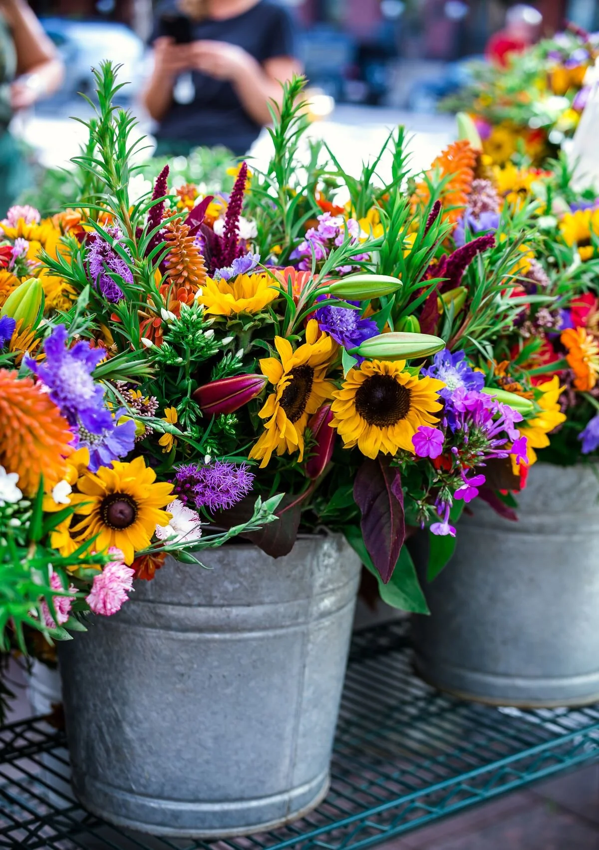 Shop — The Fresh Herb Co