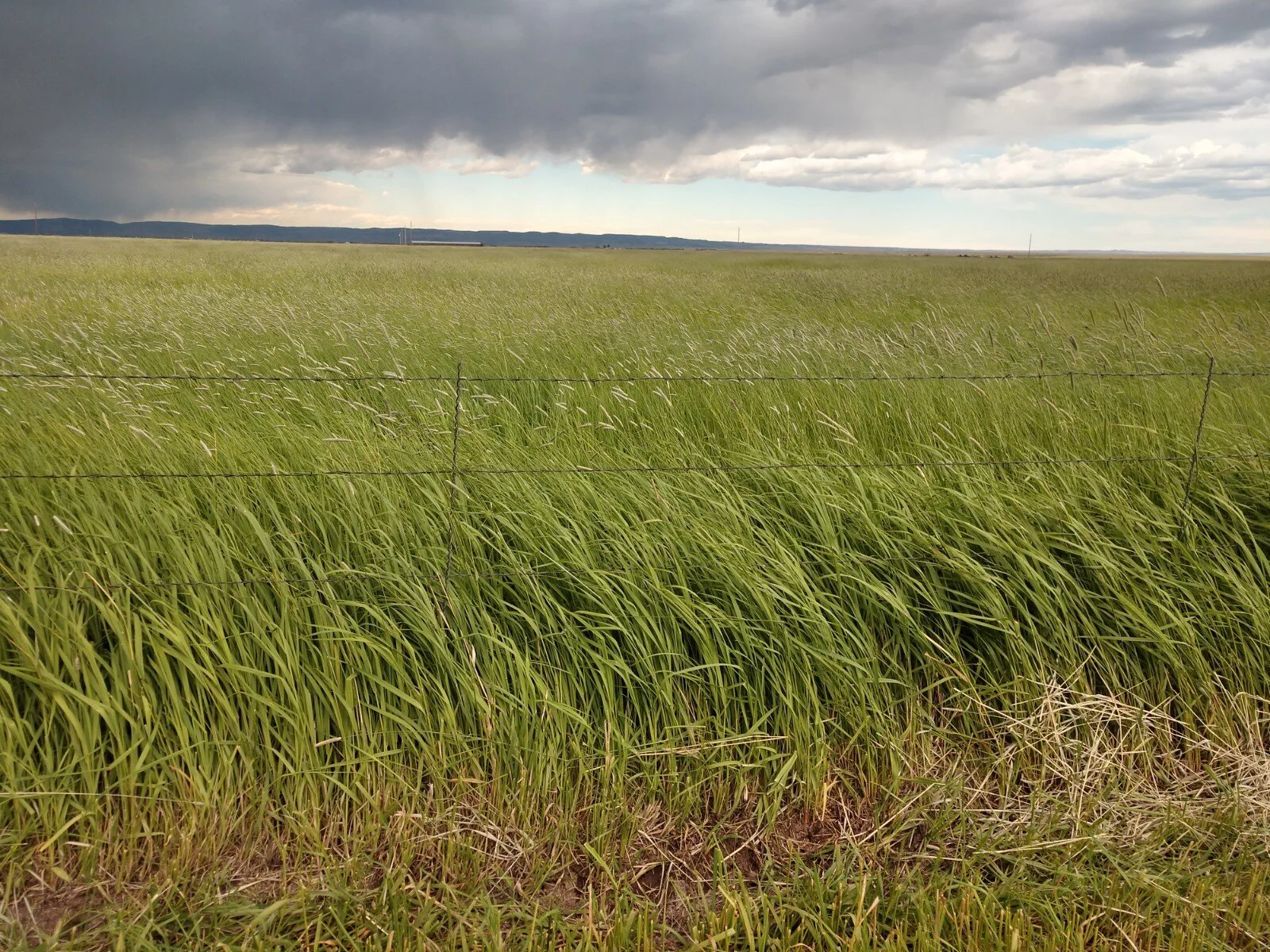 Hay Sales — All Around Ag