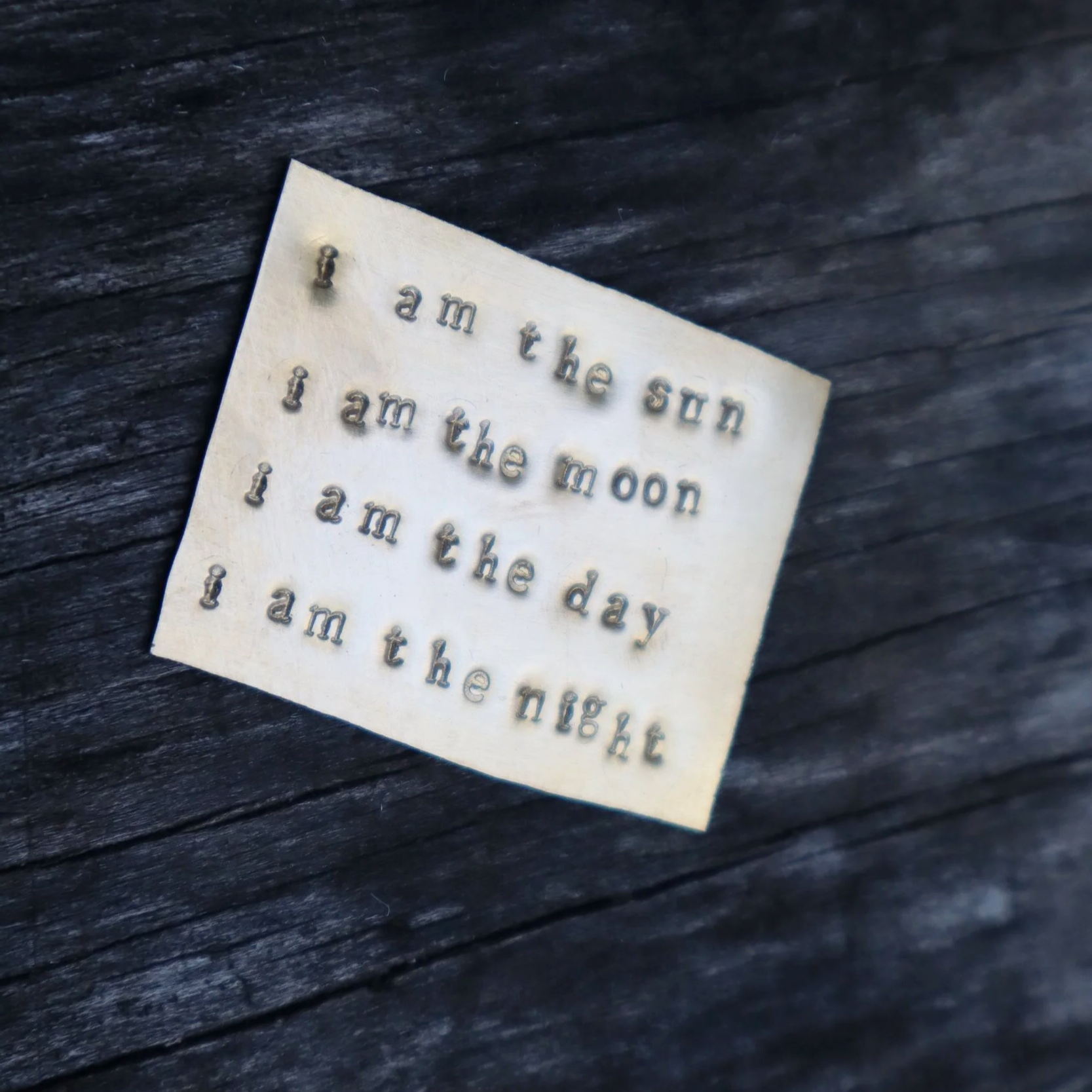 IMG_6986.png