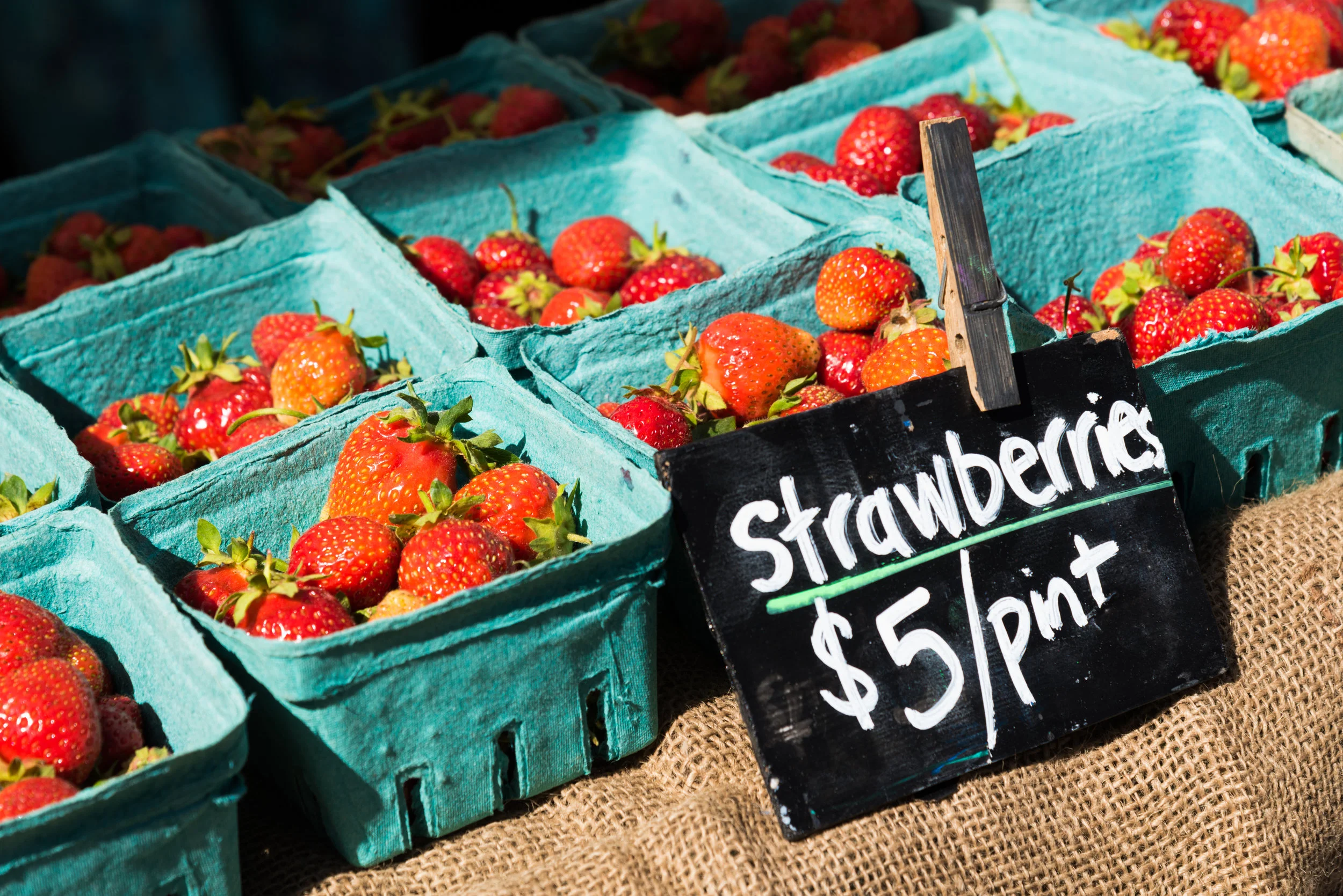 West End Farmer's Market_8129.JPG
