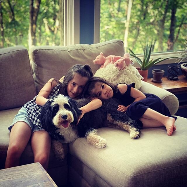 The girls are getting their first puppy in August, a bernedoodle like Miss Roxy!

#thedoggiechalet #bernedoodle #bernedoodlesofinstagram #bernedoodlesofinsta #bernedoodles #dogboarding #dogresort