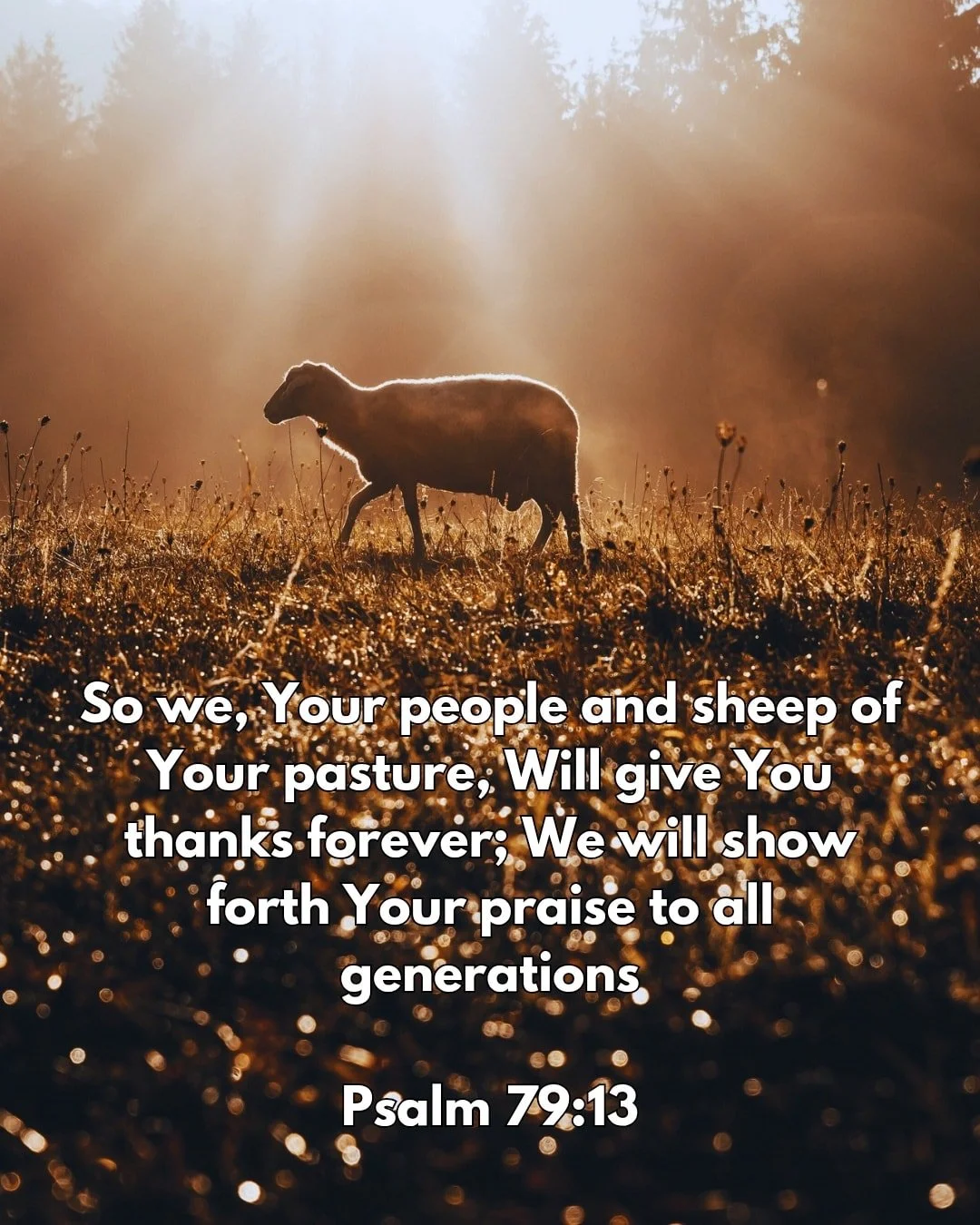 As God&rsquo;s people, we are called to thank Him and pass His praise from generation to generation.

Join us tonight as we study Psalm 79.