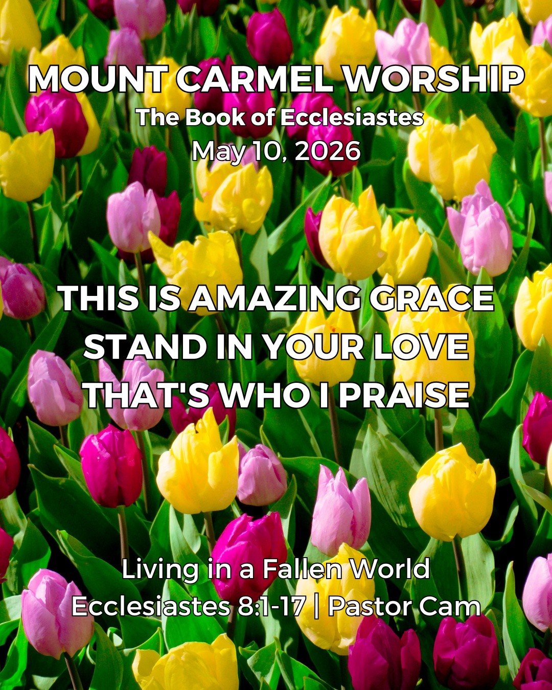 Check out the songs we&rsquo;ll be singing and come ready to lift your voice!