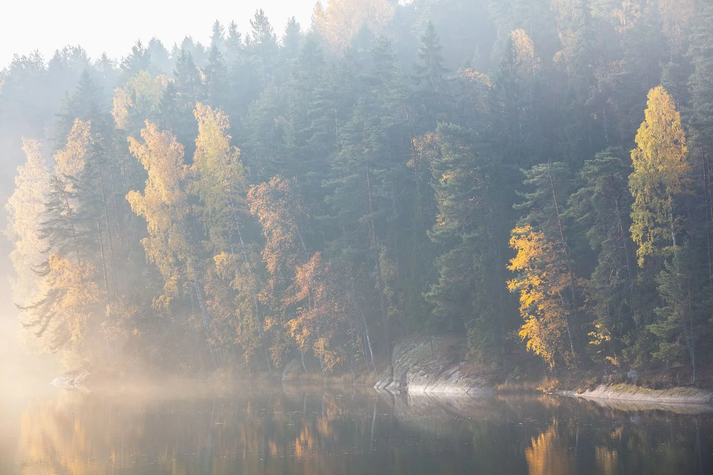 Angel Gil Finland Sipoo Autumn observation 20181014 017.jpg