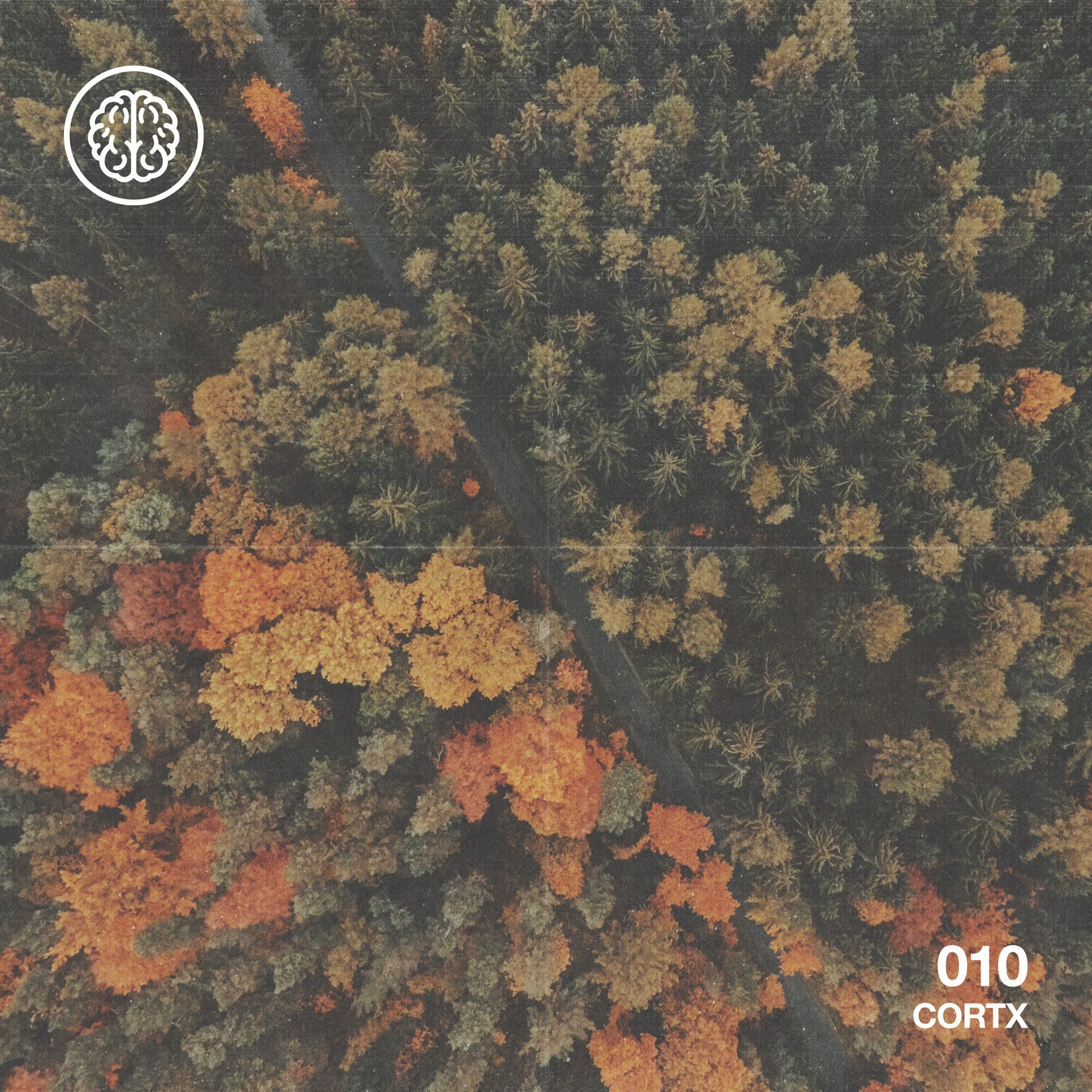 CORTX 010