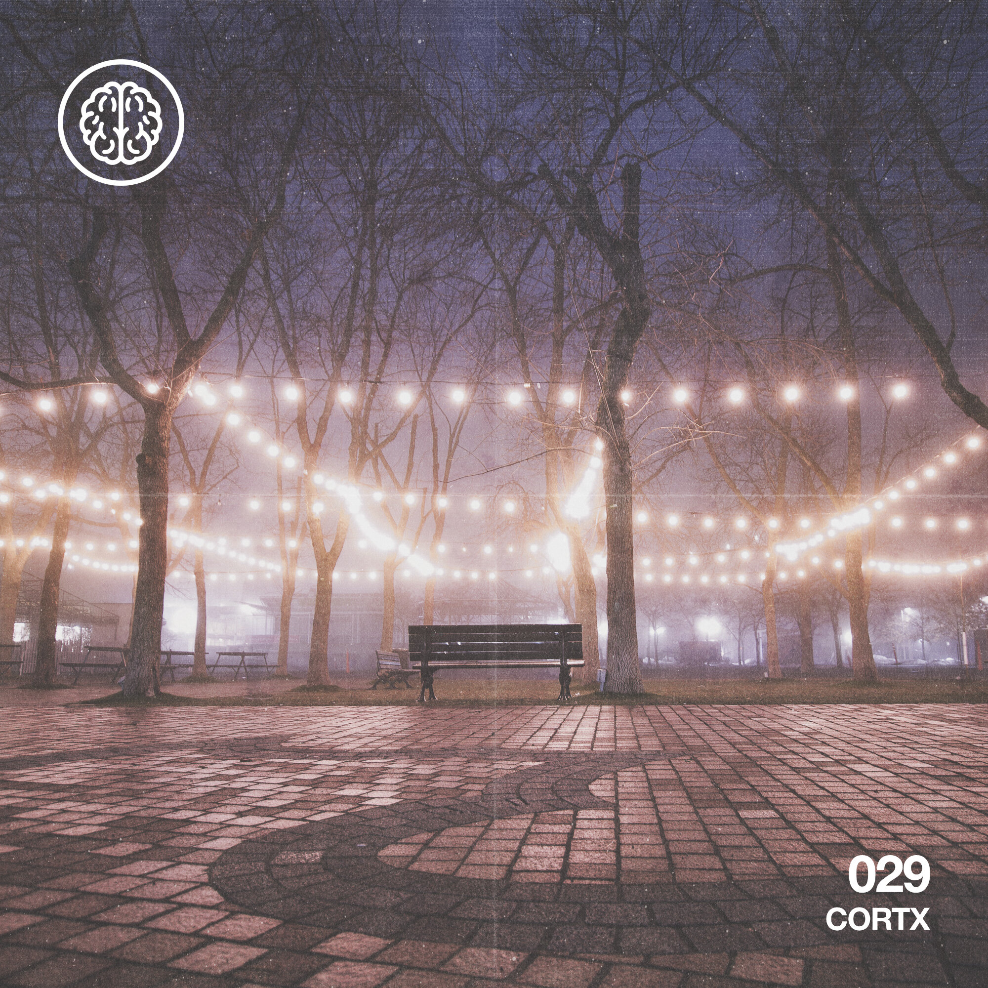 CORTX 029