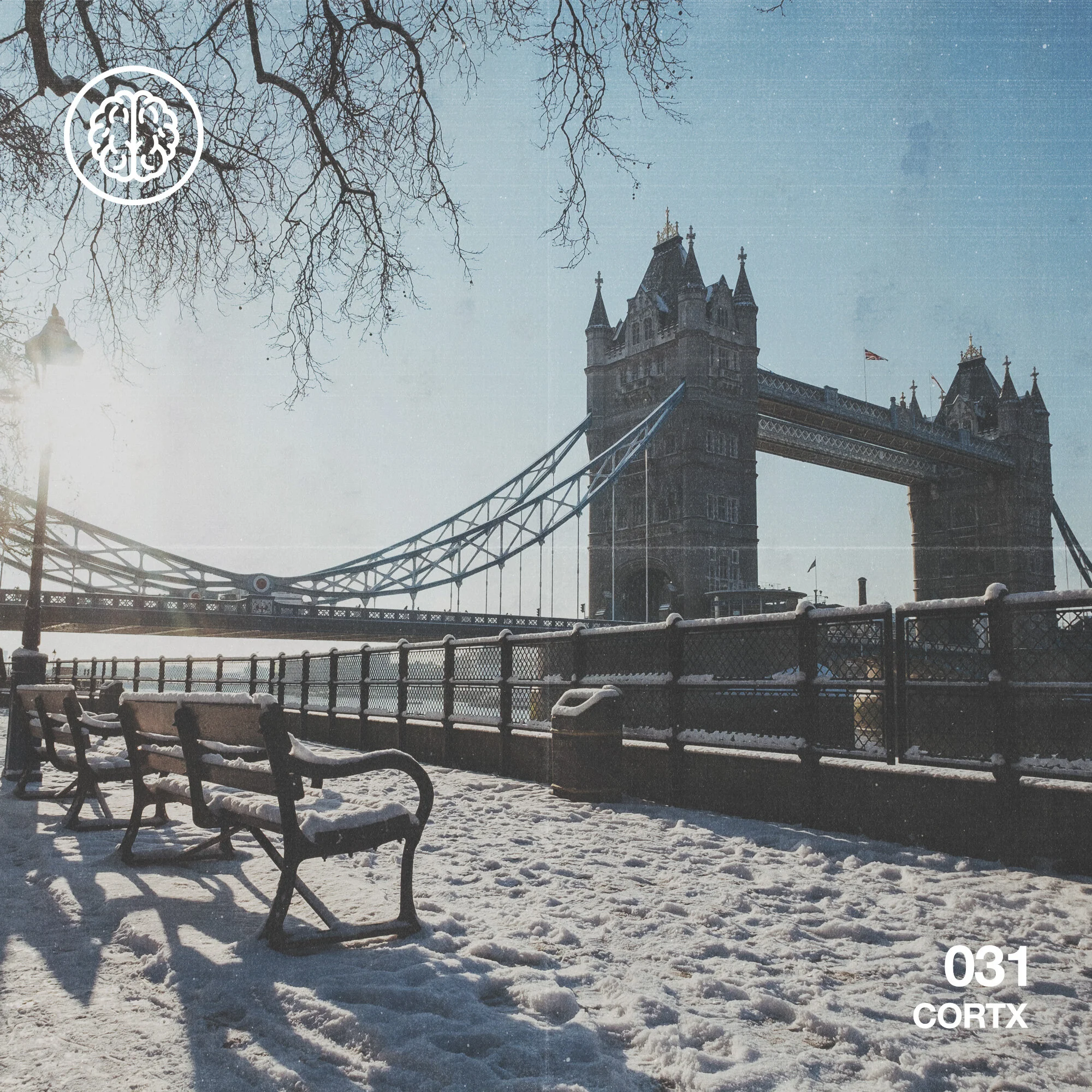CORTX 031