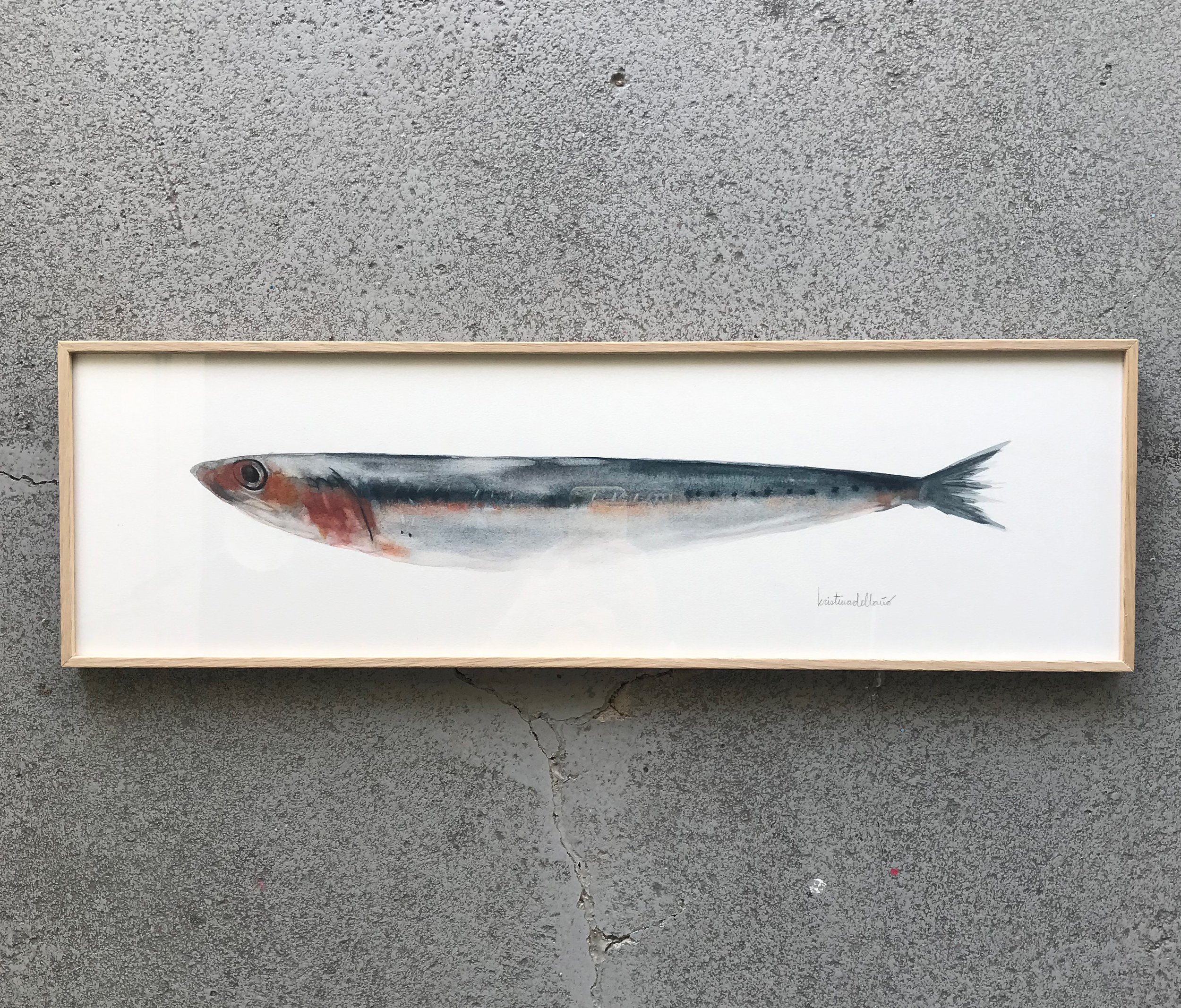 sardina-m-1.jpg