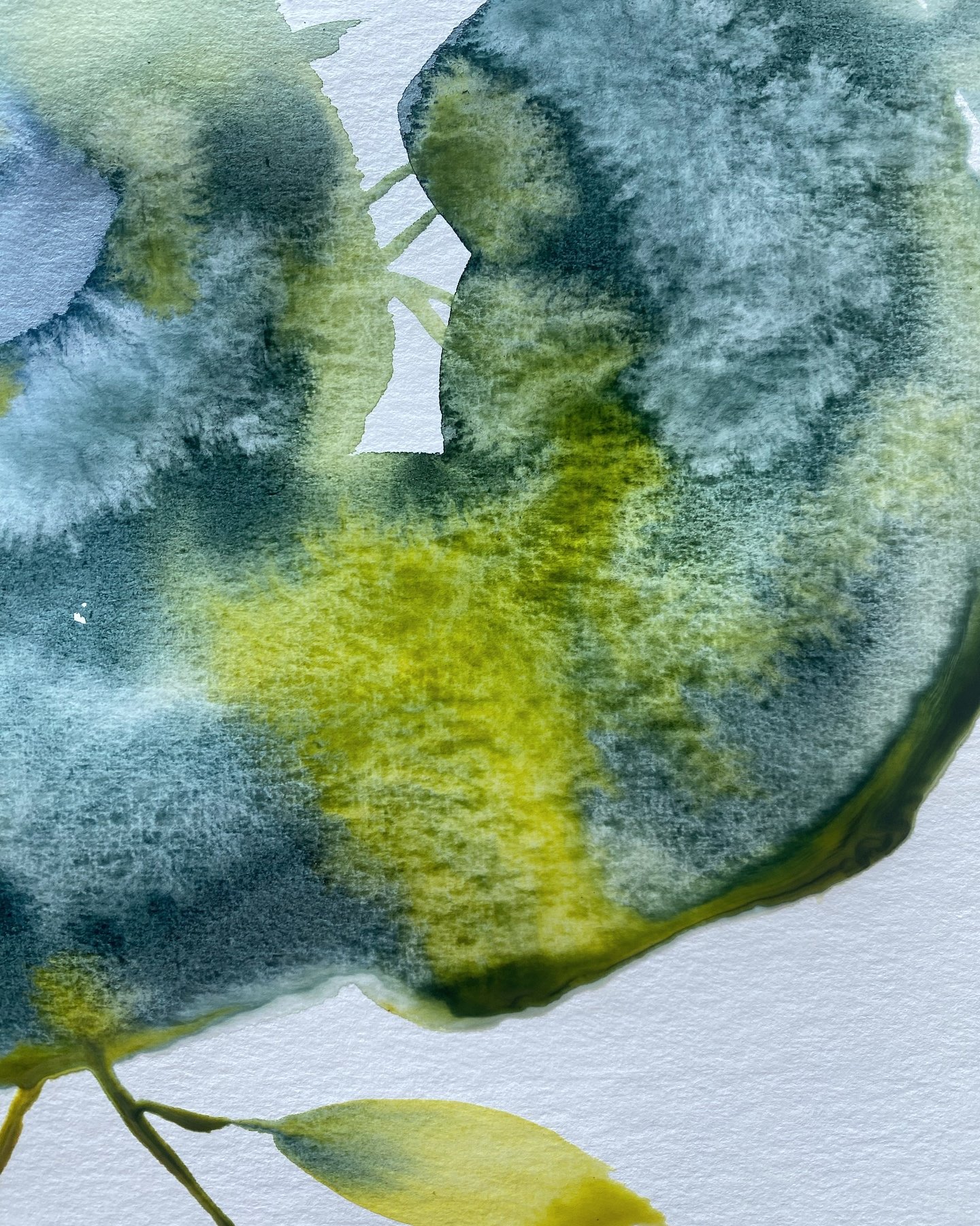 Concertina book in the making. Just for fun. I&rsquo;ll soon share the result 😊
.
.
.
.
.
#concertinabook #watercolorlove #enjoytheprocess #watercolorart #watercolorpainting