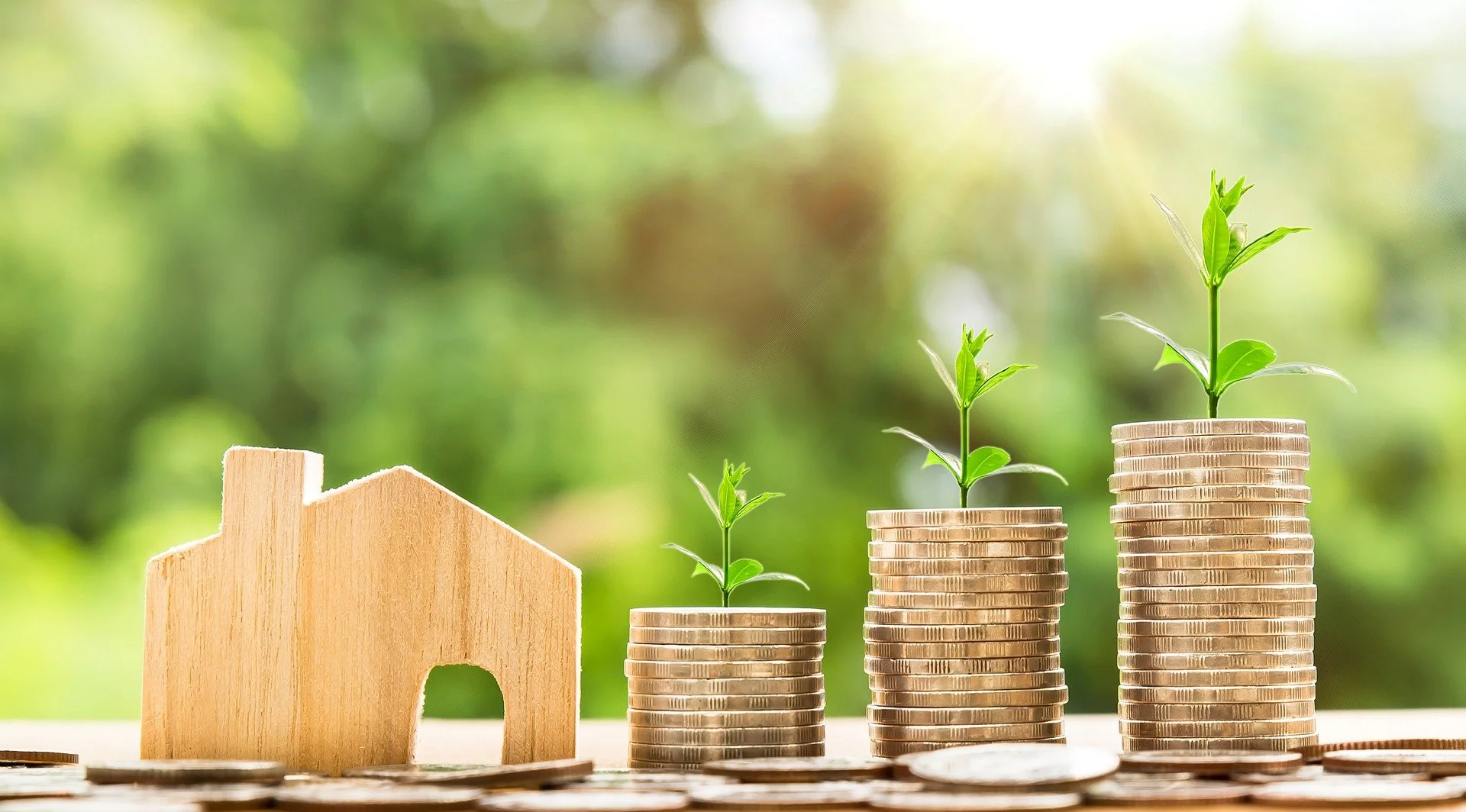 Philadelphia Homestead Exemption