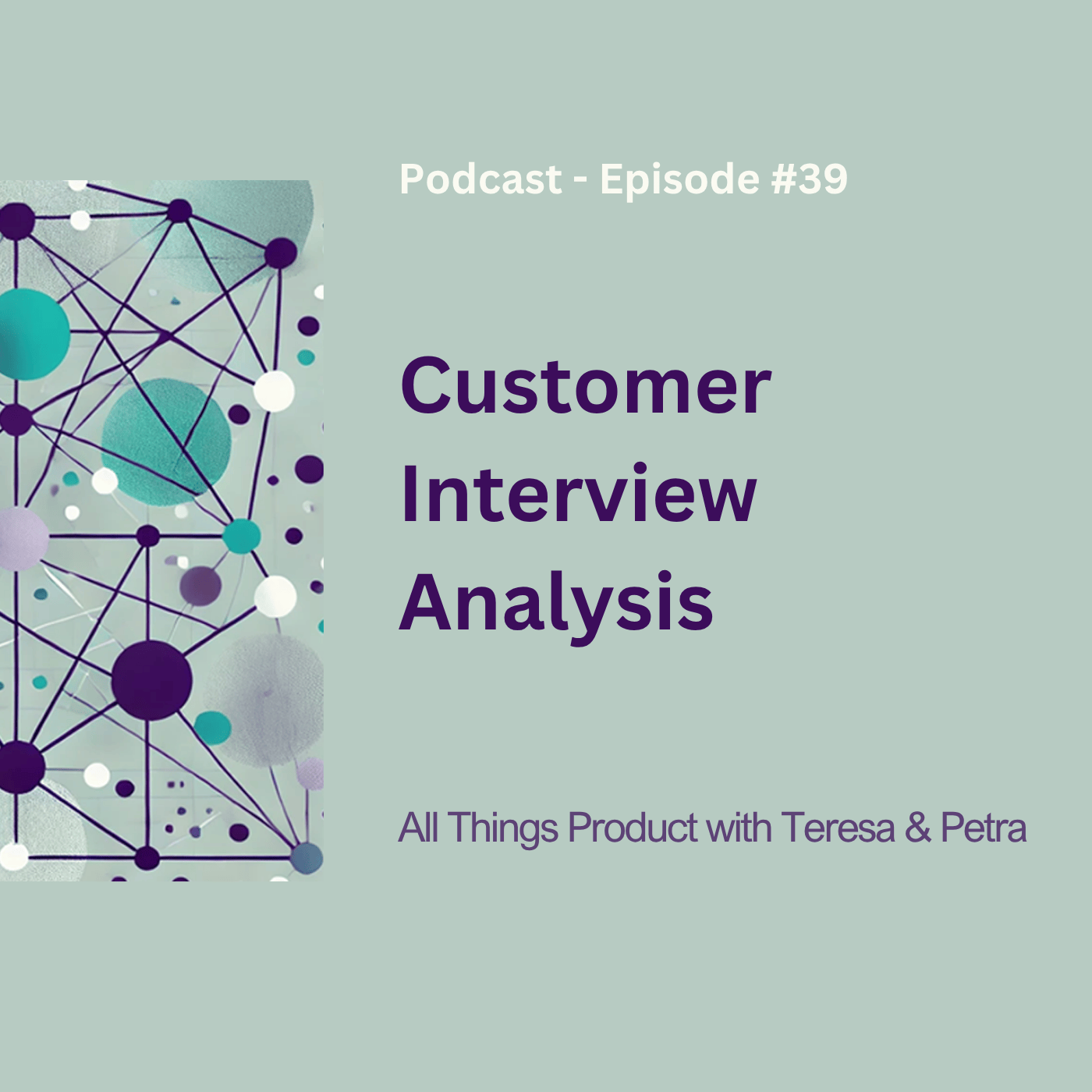 Customer Interview Analysis - All Things Product Podcast with Teresa Torres &amp; Petra Wille