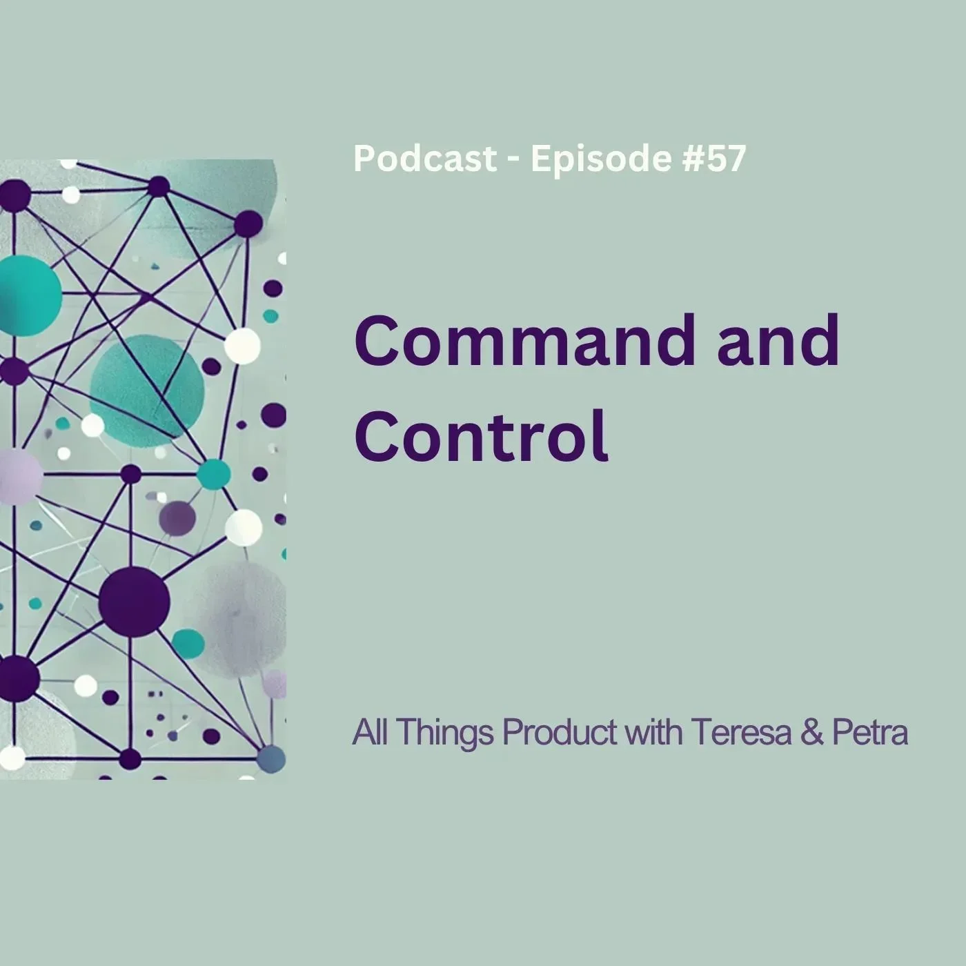 Command and Control - All Things Product Podcast with Teresa Torres &amp; Petra Wille
