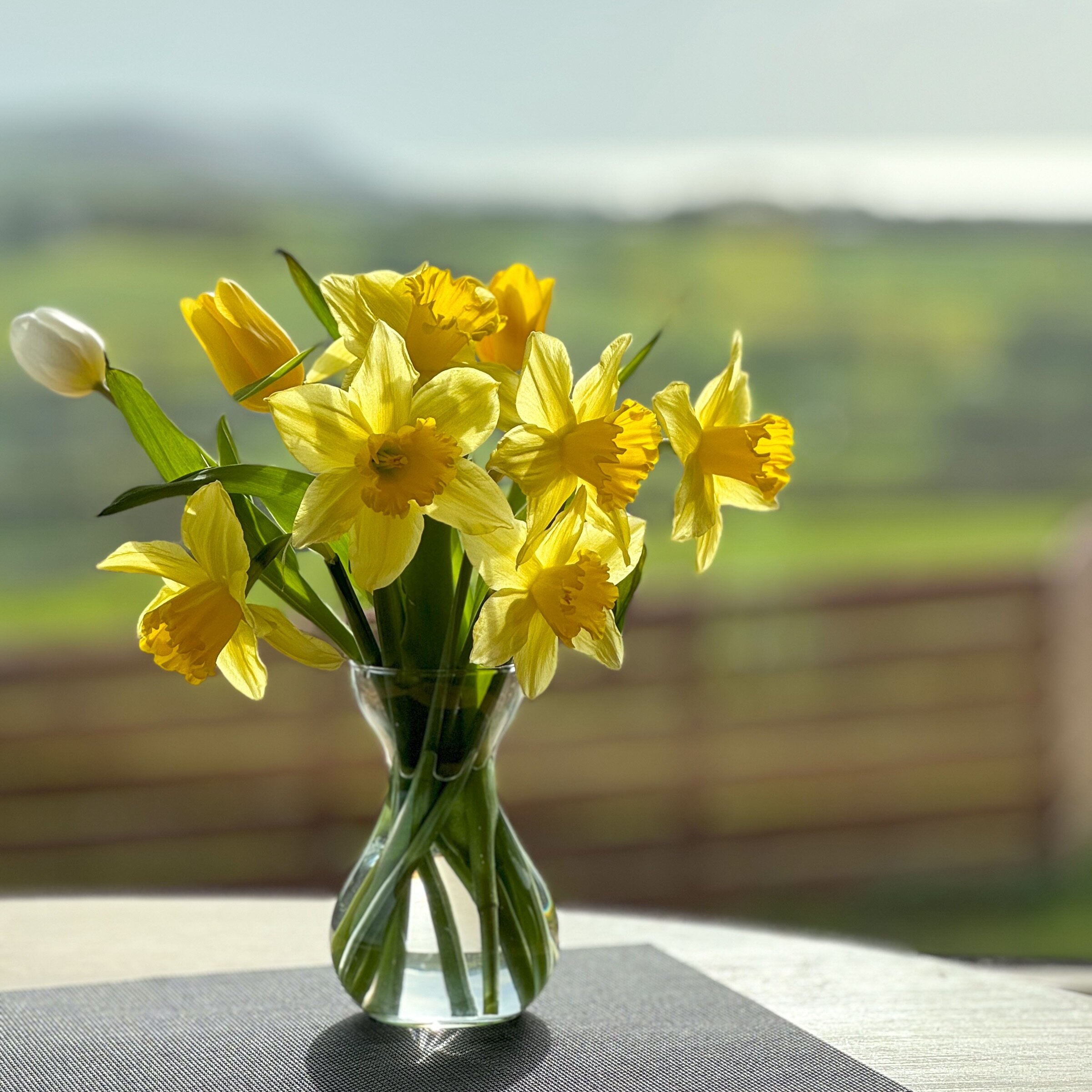 We&rsquo;ve loved welcoming our guests for Easter weekend as much as we love these brighter evenings and warmer weather ☀️ 

#happyeaster #easterweekend #romanticbreak #springincornwall #visitbude #lovecornwall #lovespring