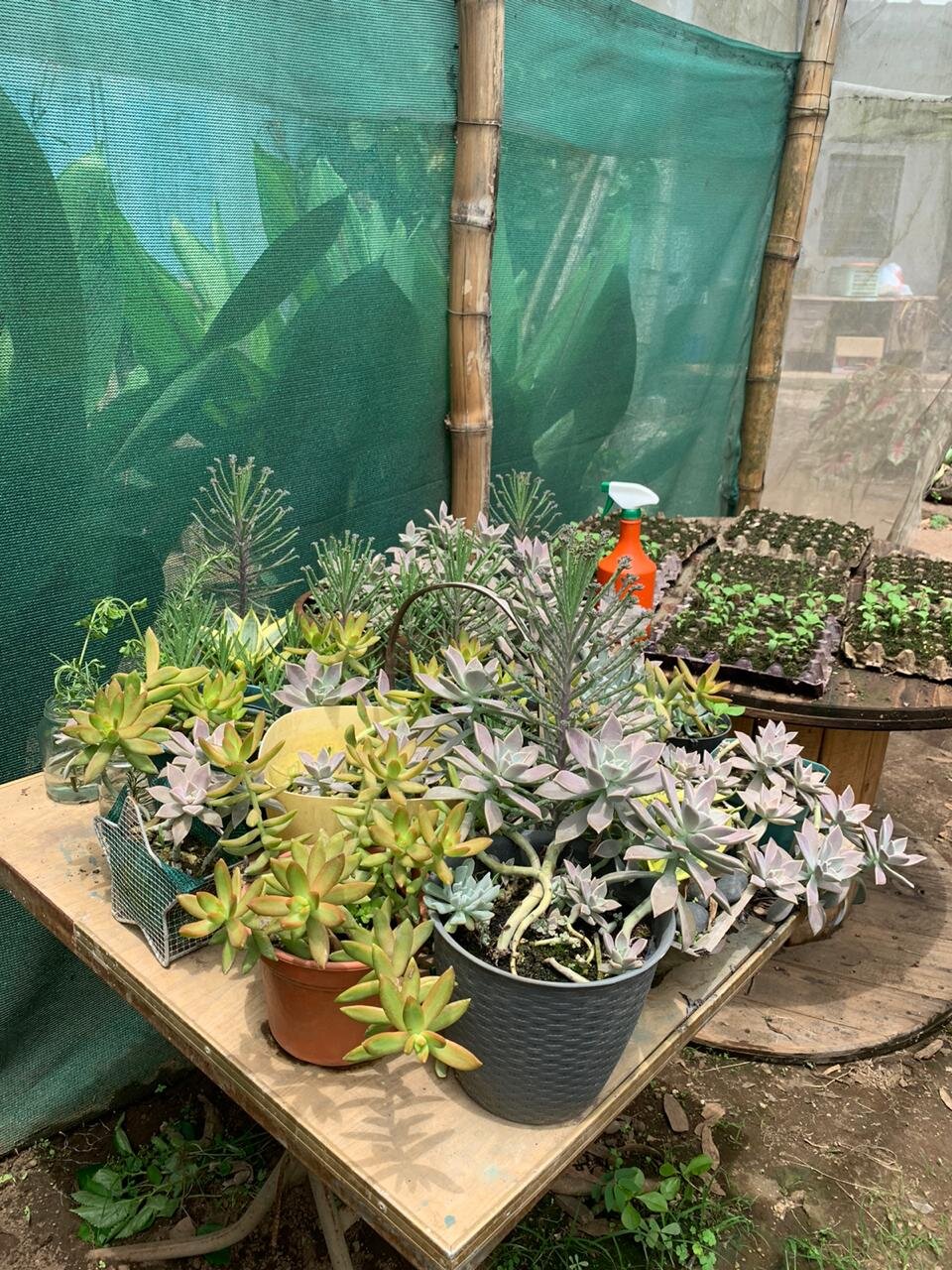 WhatsApp Image 2020-05-28 at 14.18.11 (1).jpeg