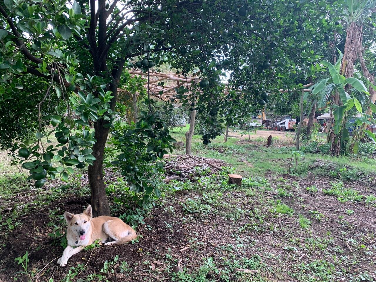 WhatsApp Image 2020-05-28 at 14.13.47.jpeg