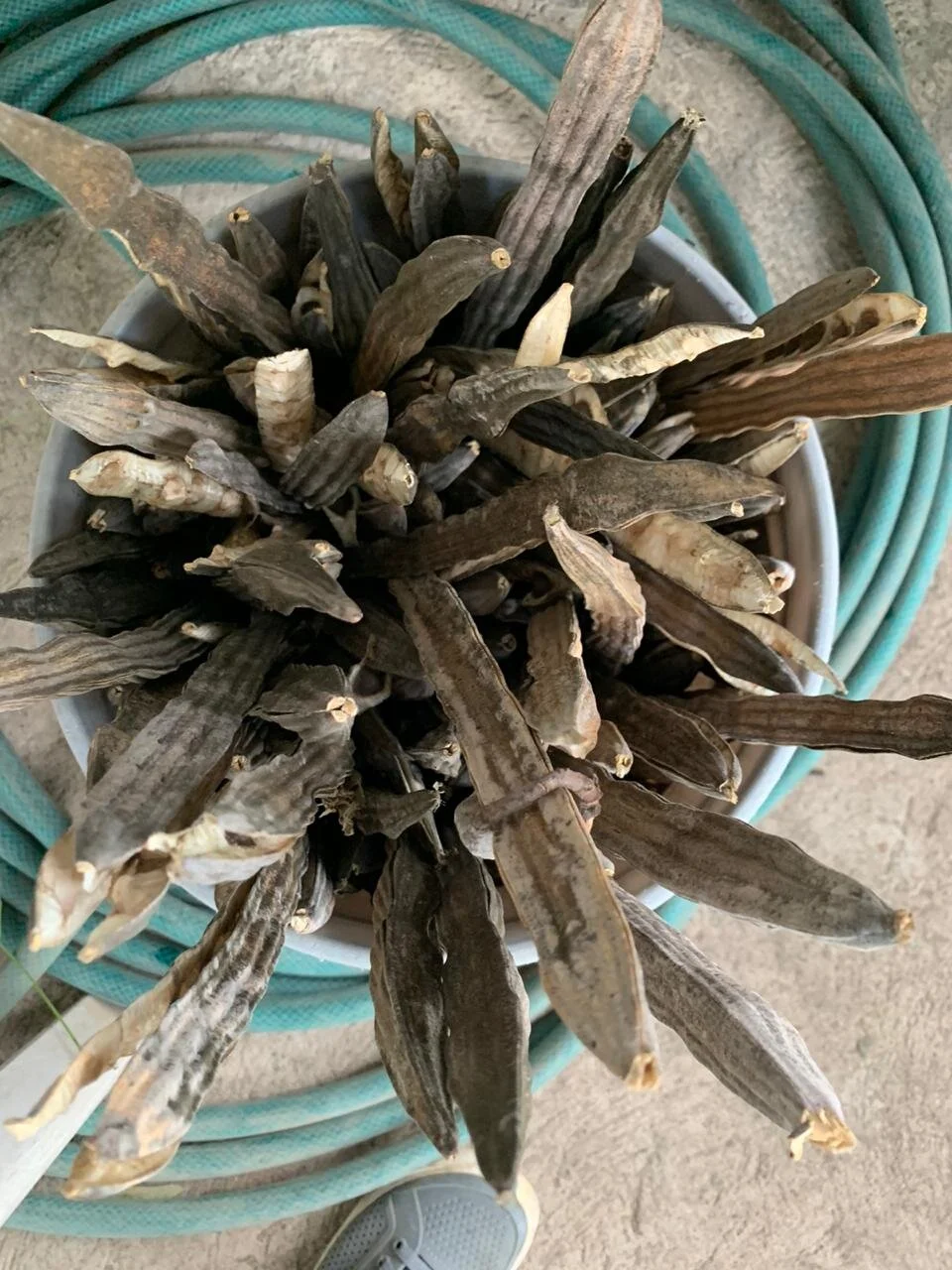 WhatsApp Image 2020-05-28 at 14.13.09 (1).jpeg