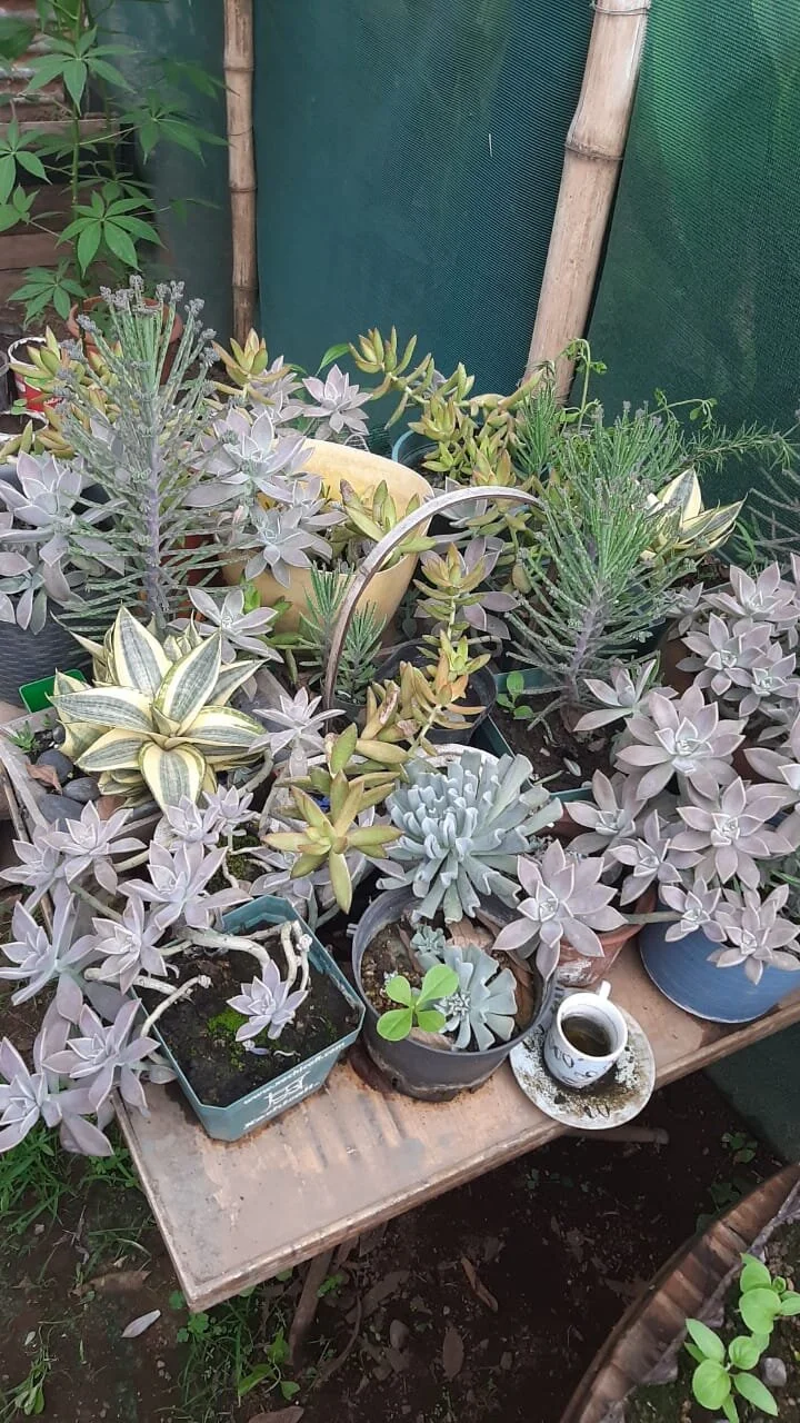 WhatsApp Image 2020-05-28 at 14.27.25 (4).jpeg