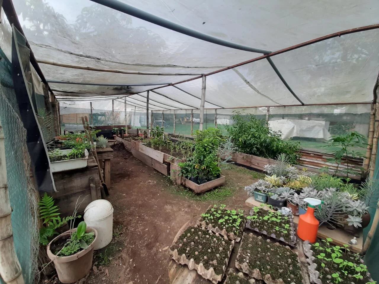 WhatsApp Image 2020-05-28 at 14.27.25 (3).jpeg