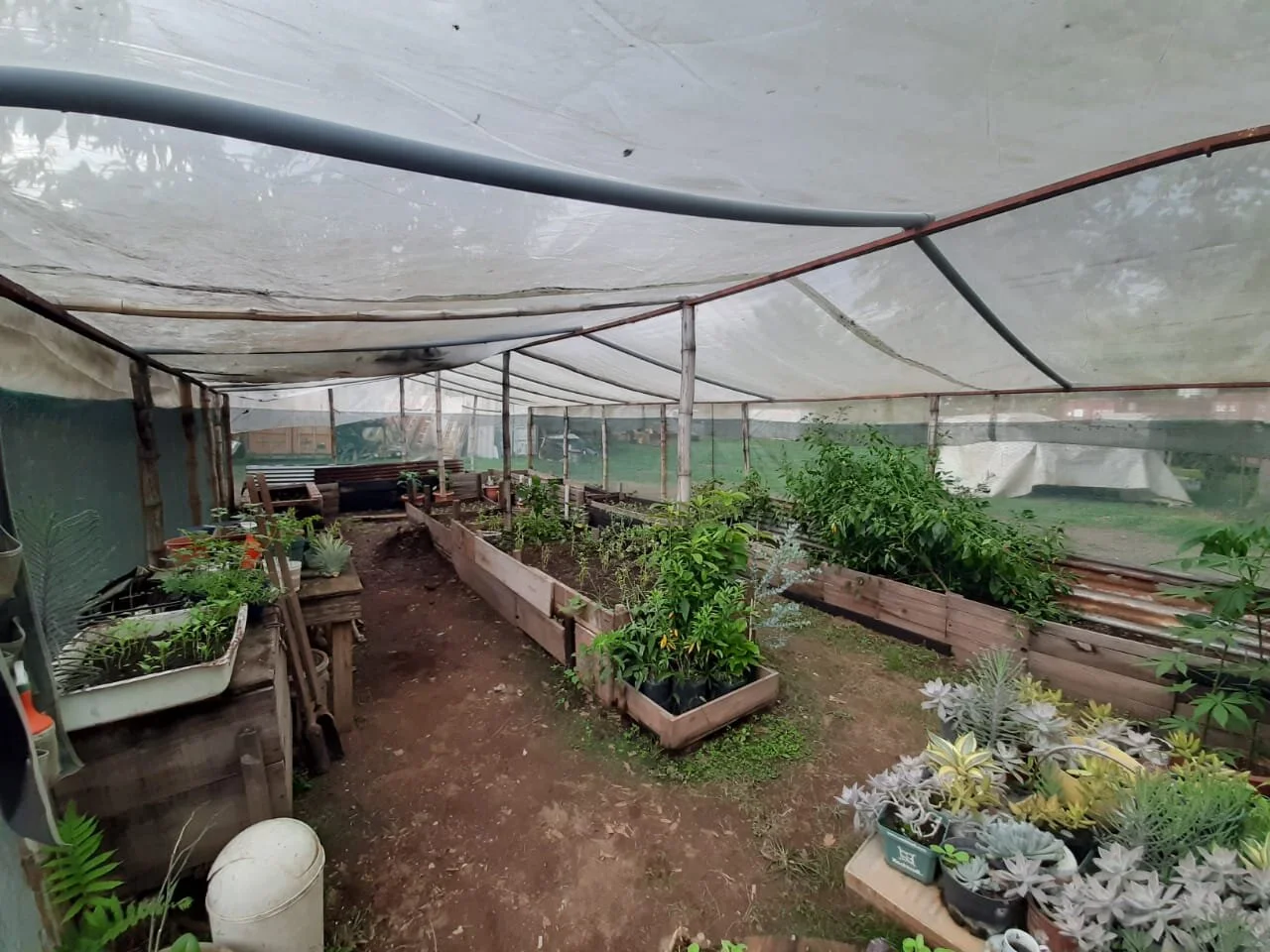 WhatsApp Image 2020-05-28 at 14.27.25 (2).jpeg