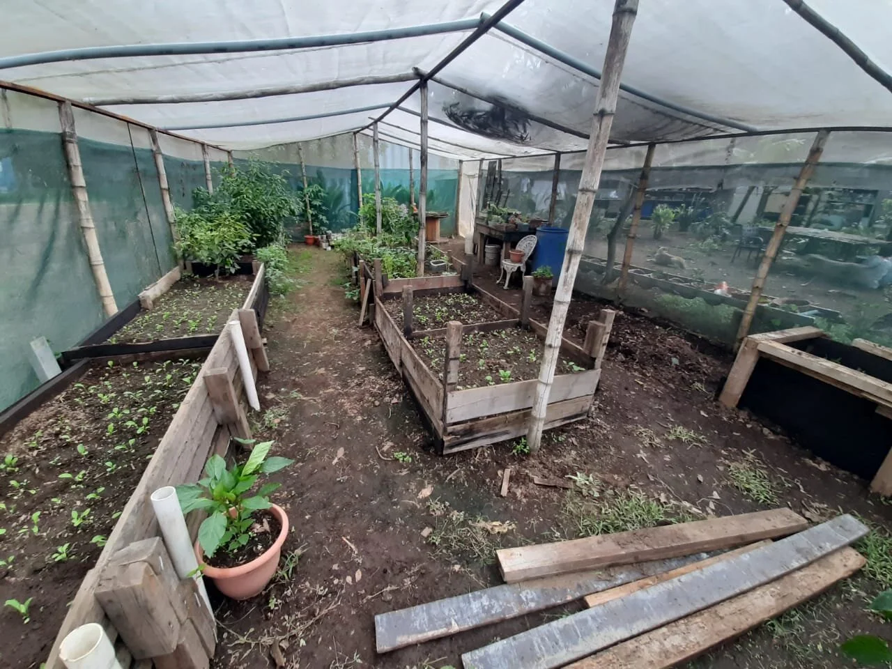 WhatsApp Image 2020-05-28 at 14.27.25 (1).jpeg