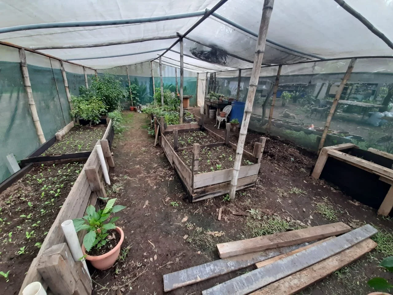 WhatsApp Image 2020-05-28 at 14.27.25.jpeg