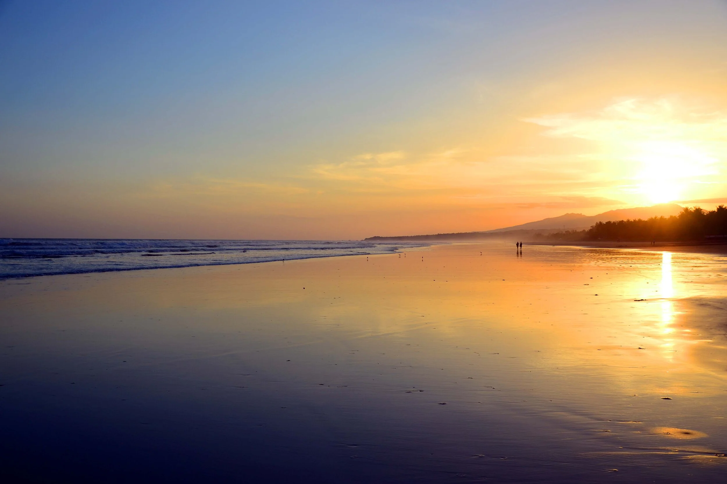 elsalbeach1.jpg