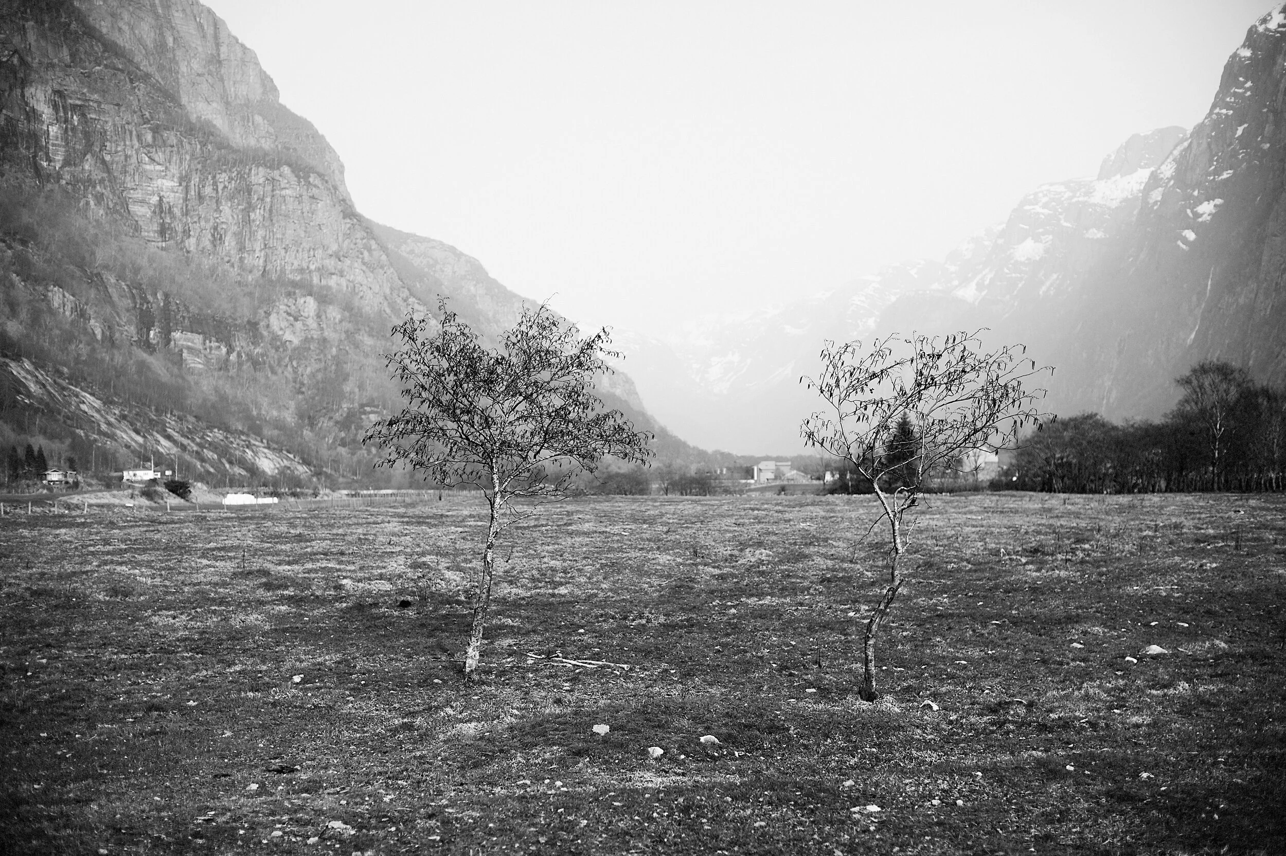 frafjord4mono.jpg