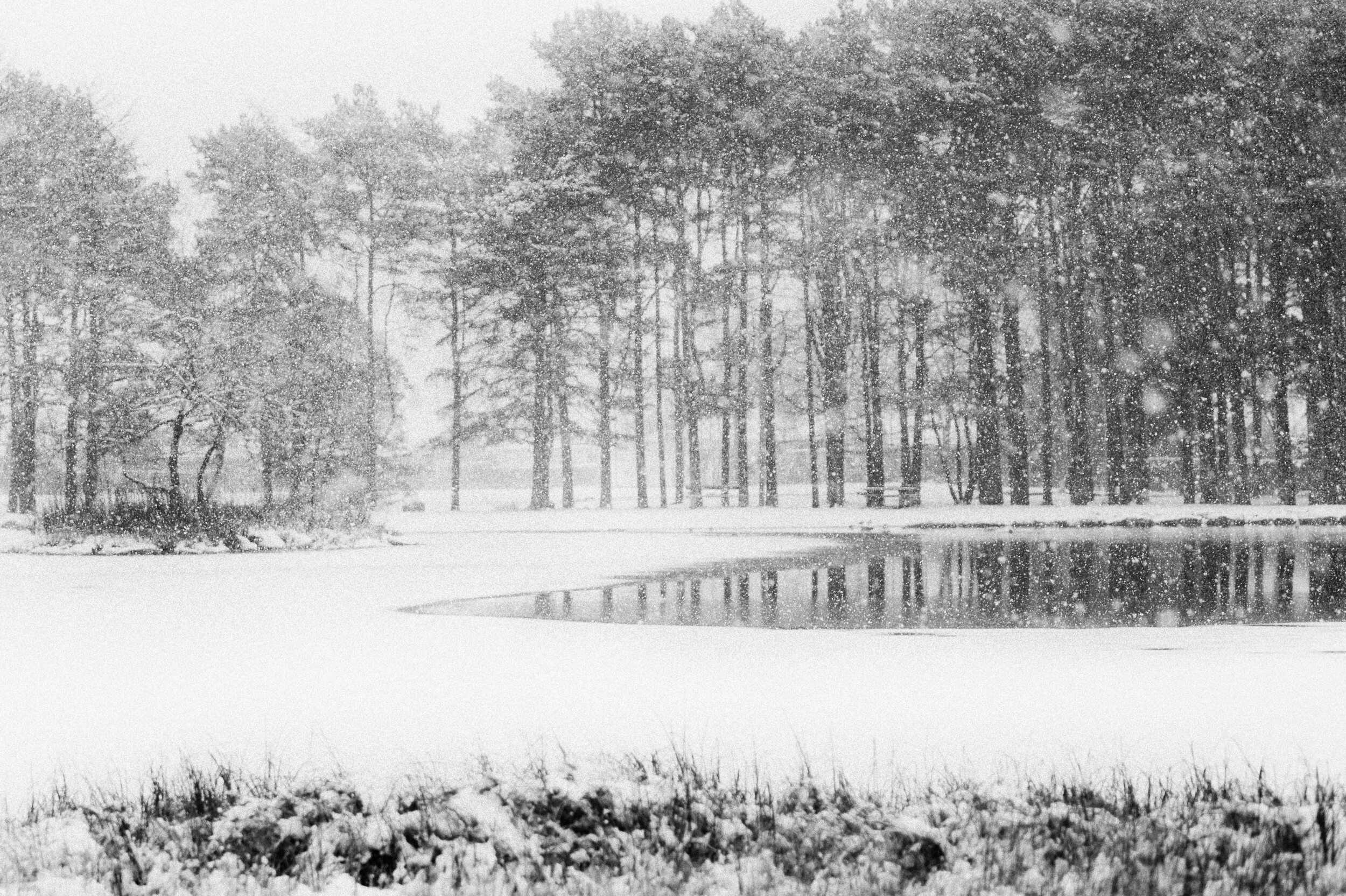 gisketjern.jpg