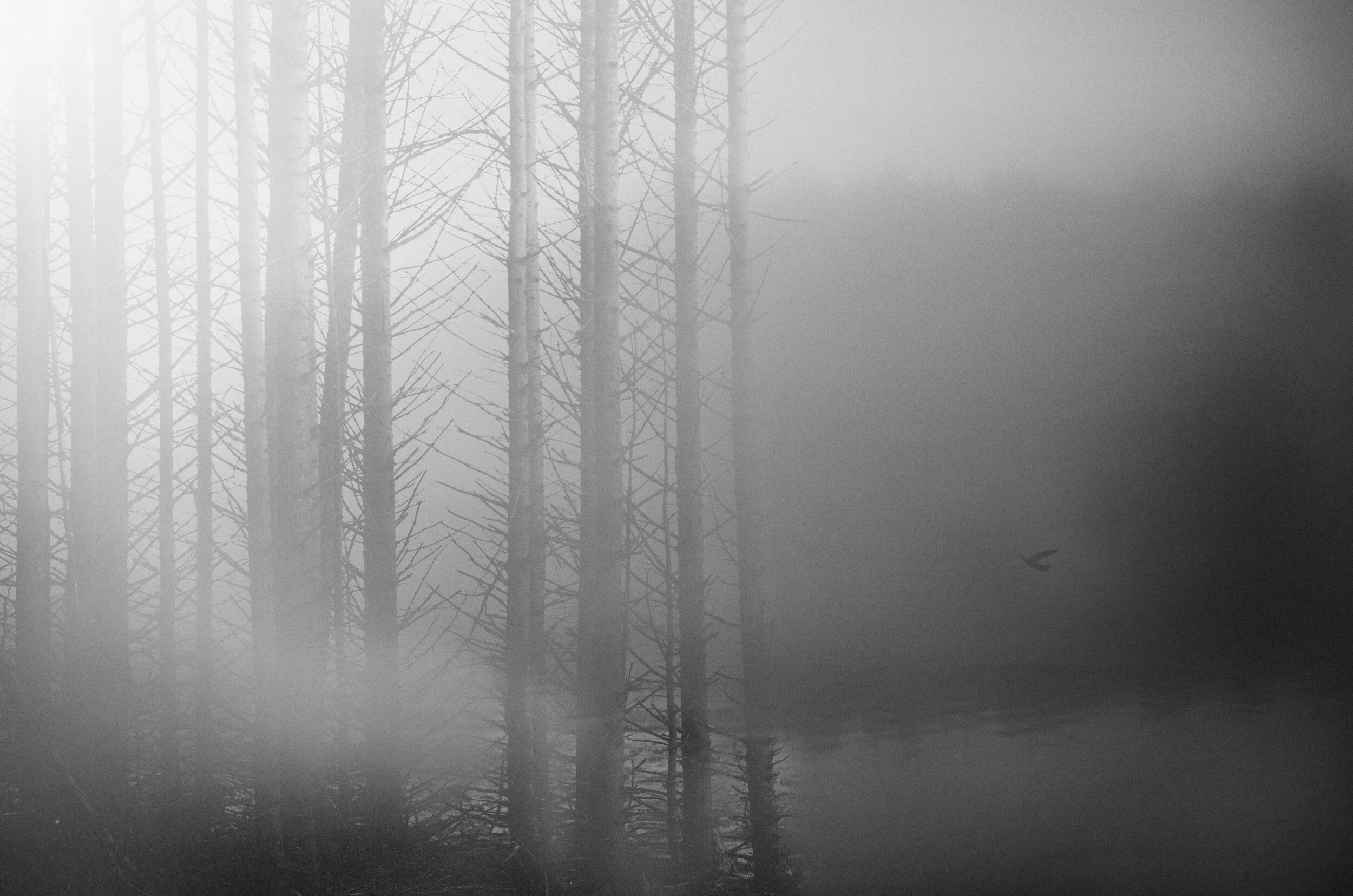 KlausSkrudland_foto14_taake.jpg